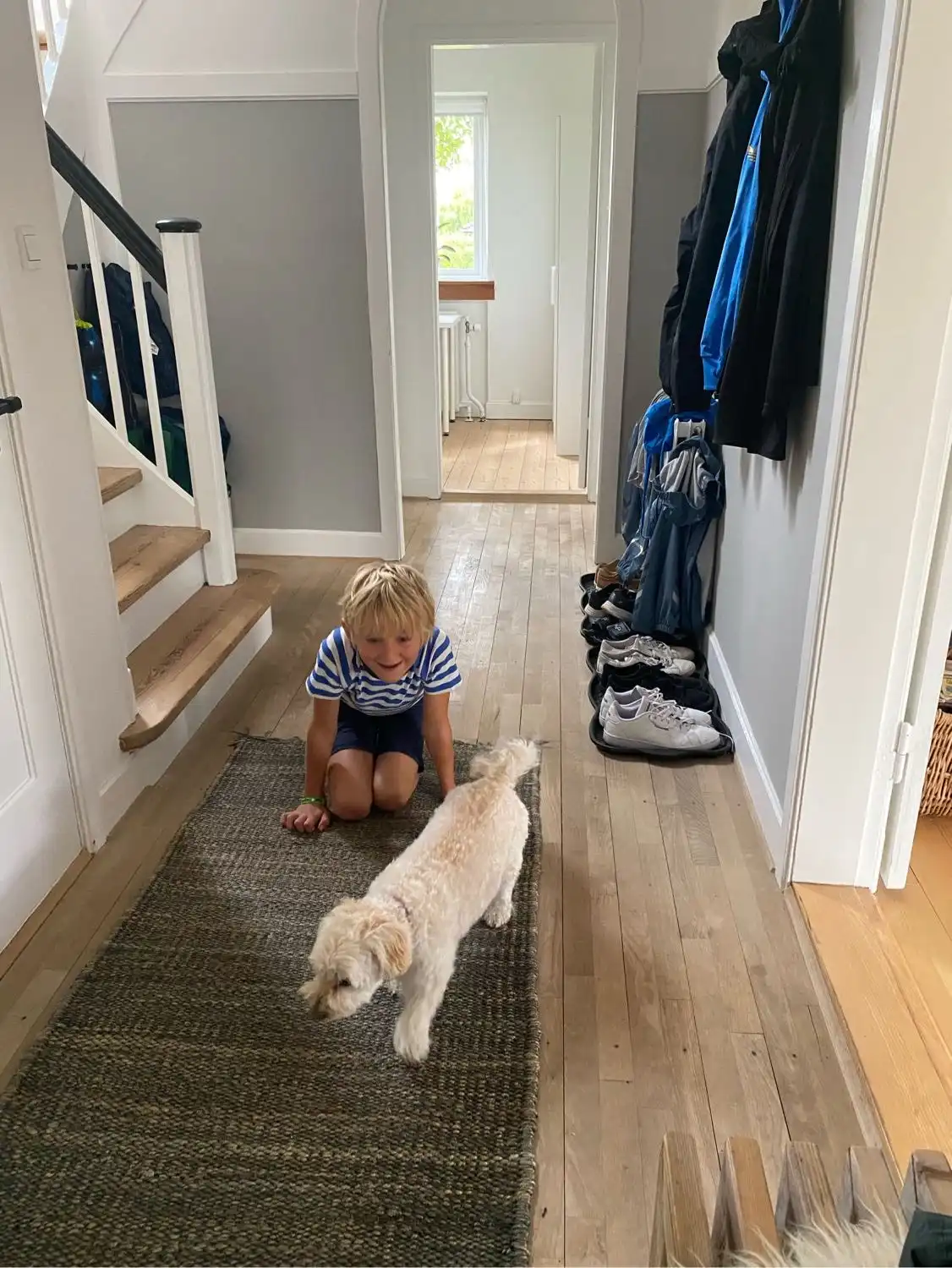 image-13