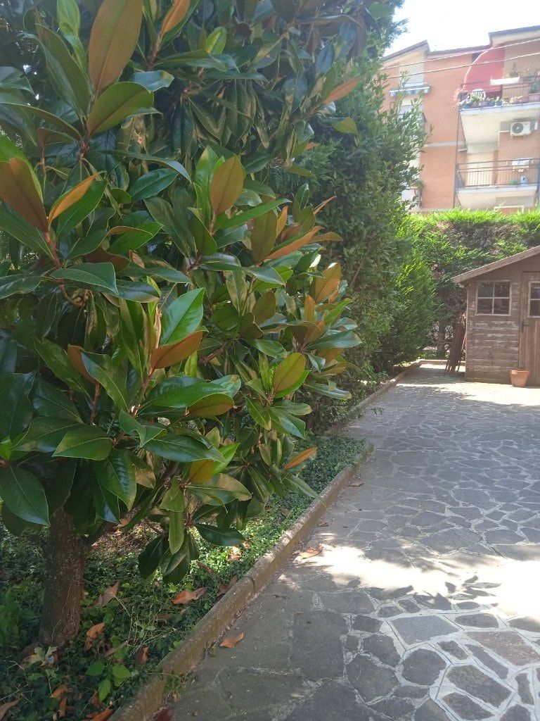 image-19