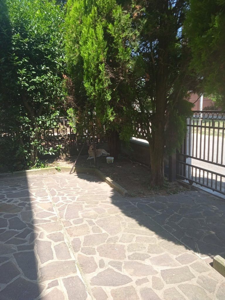 image-17