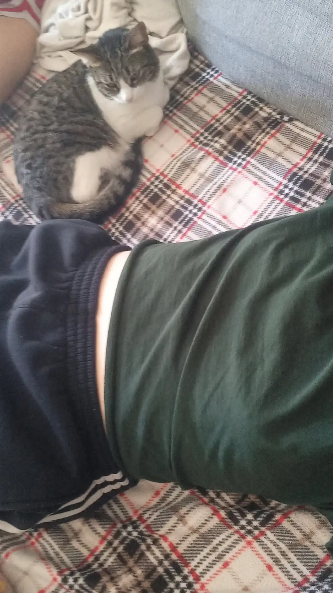 image-6