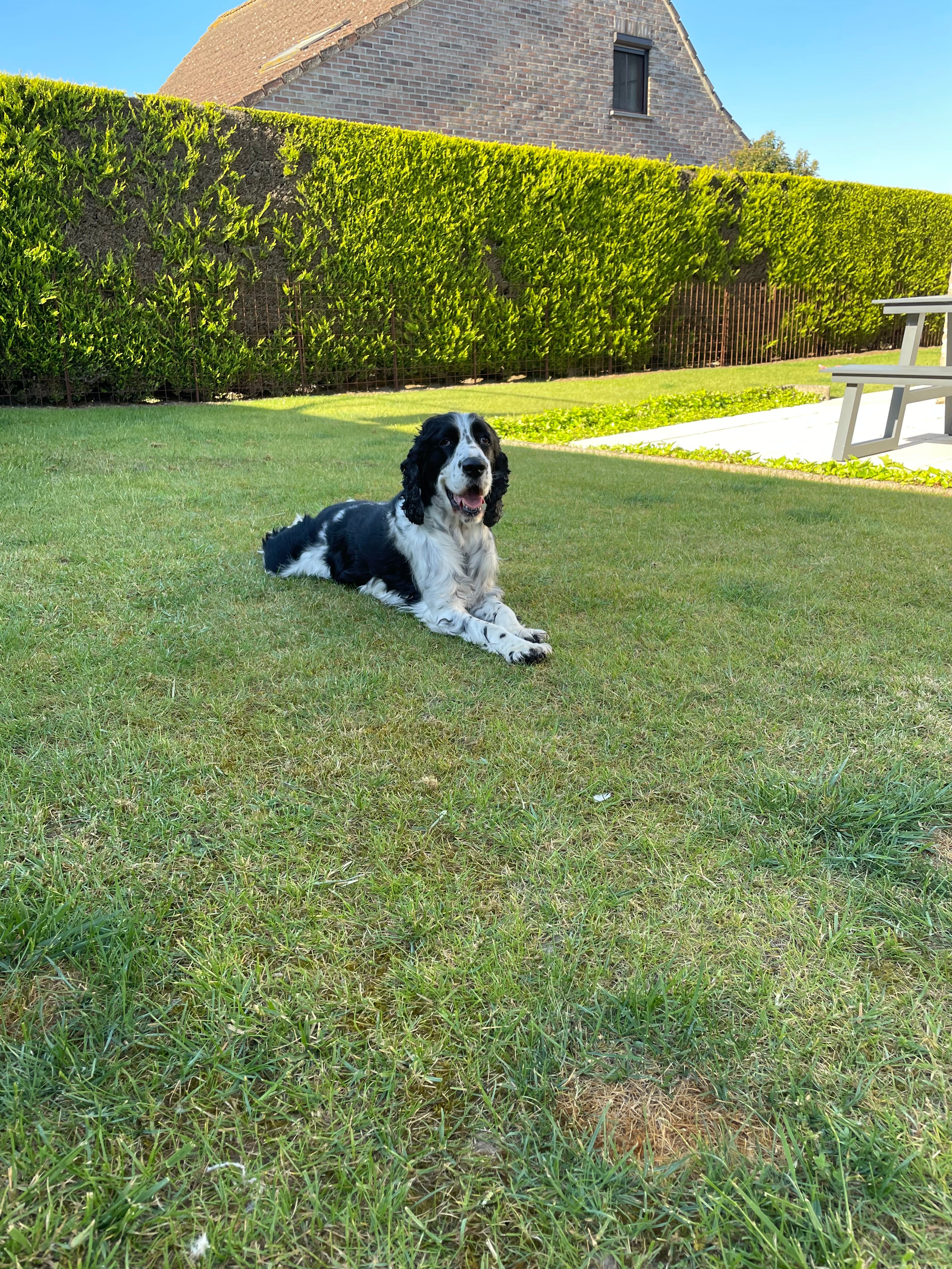image-17