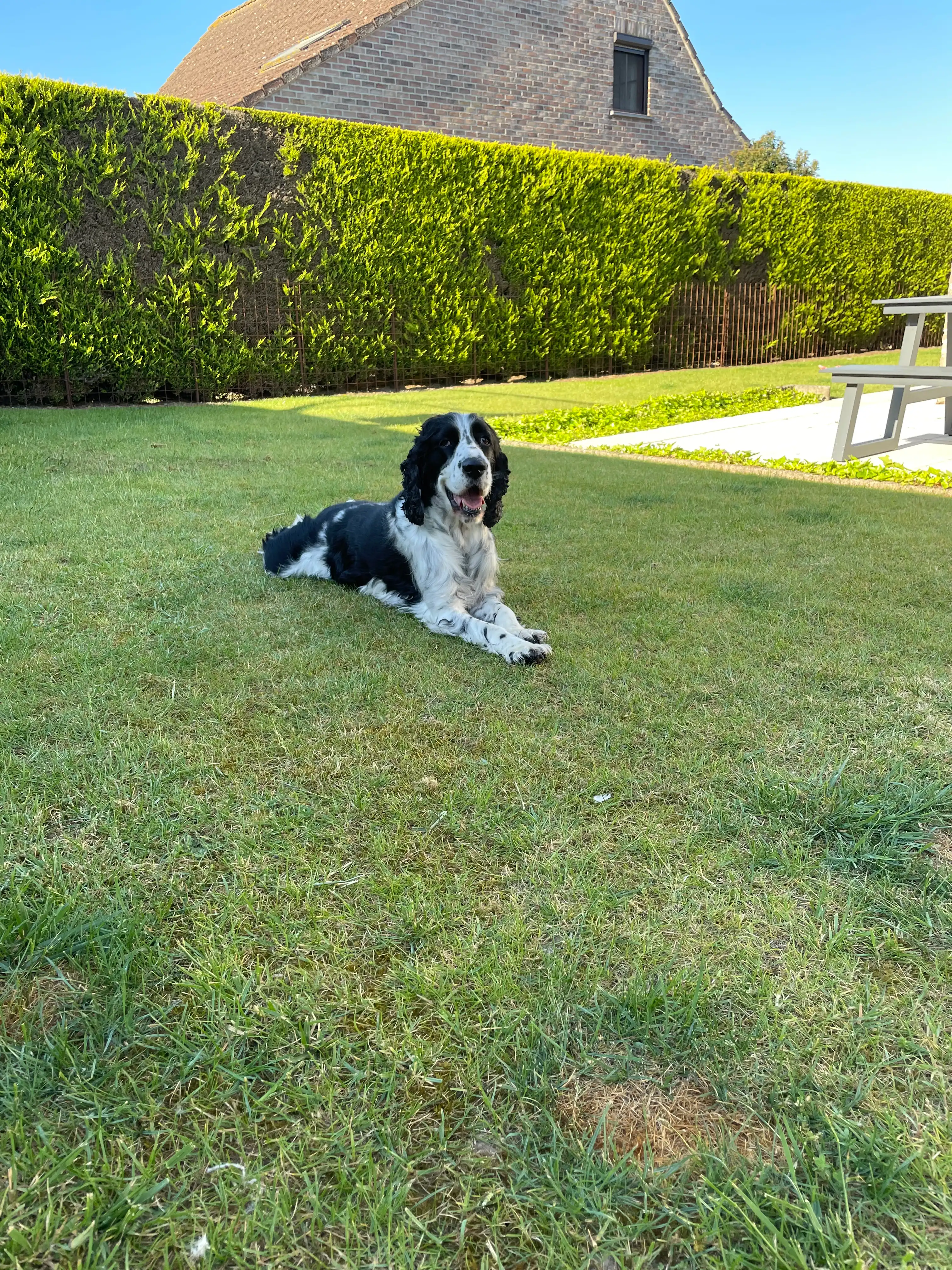 image-17