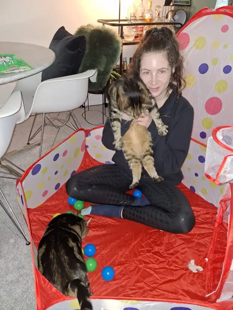 image-6