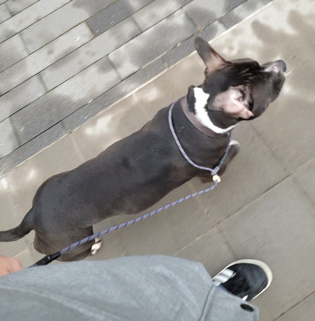image-7