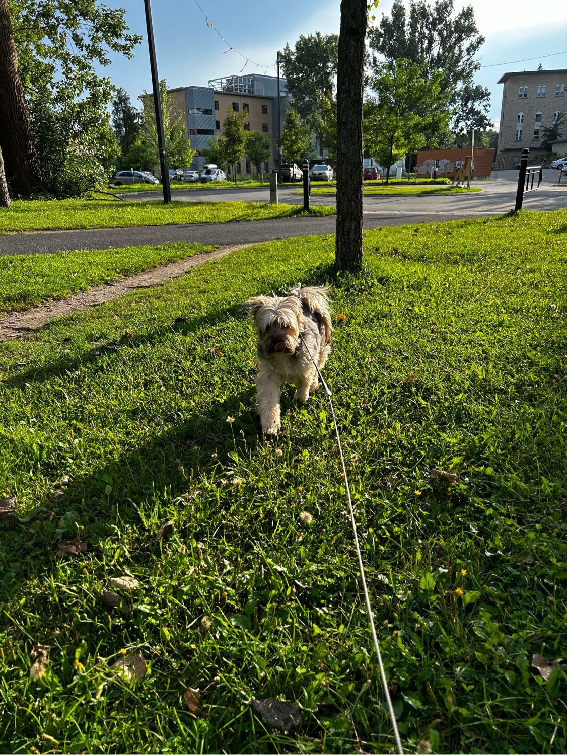 image-11