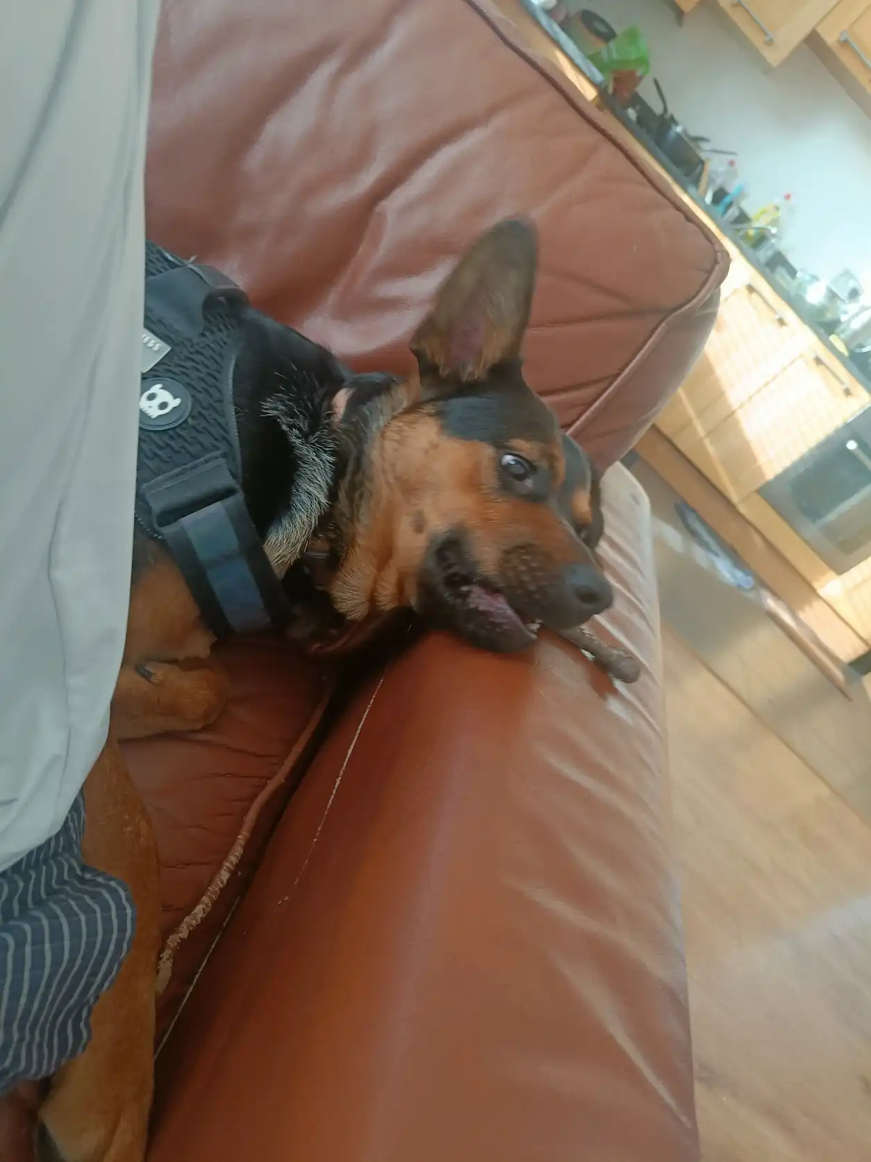 image-18