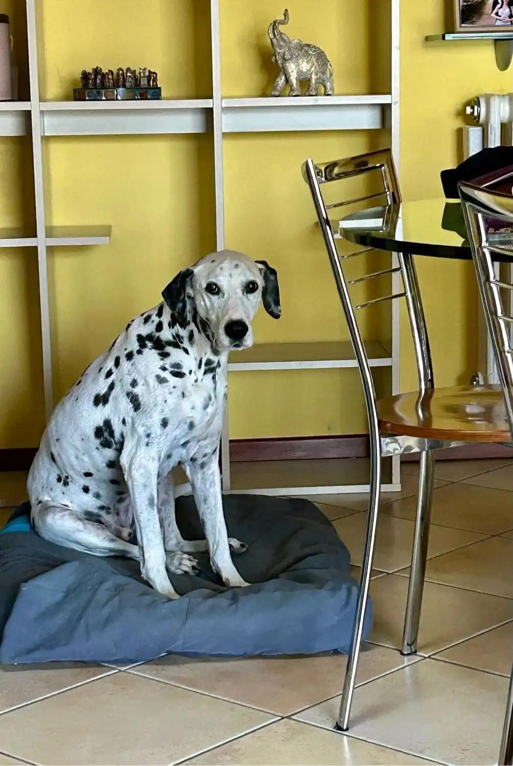 image-21