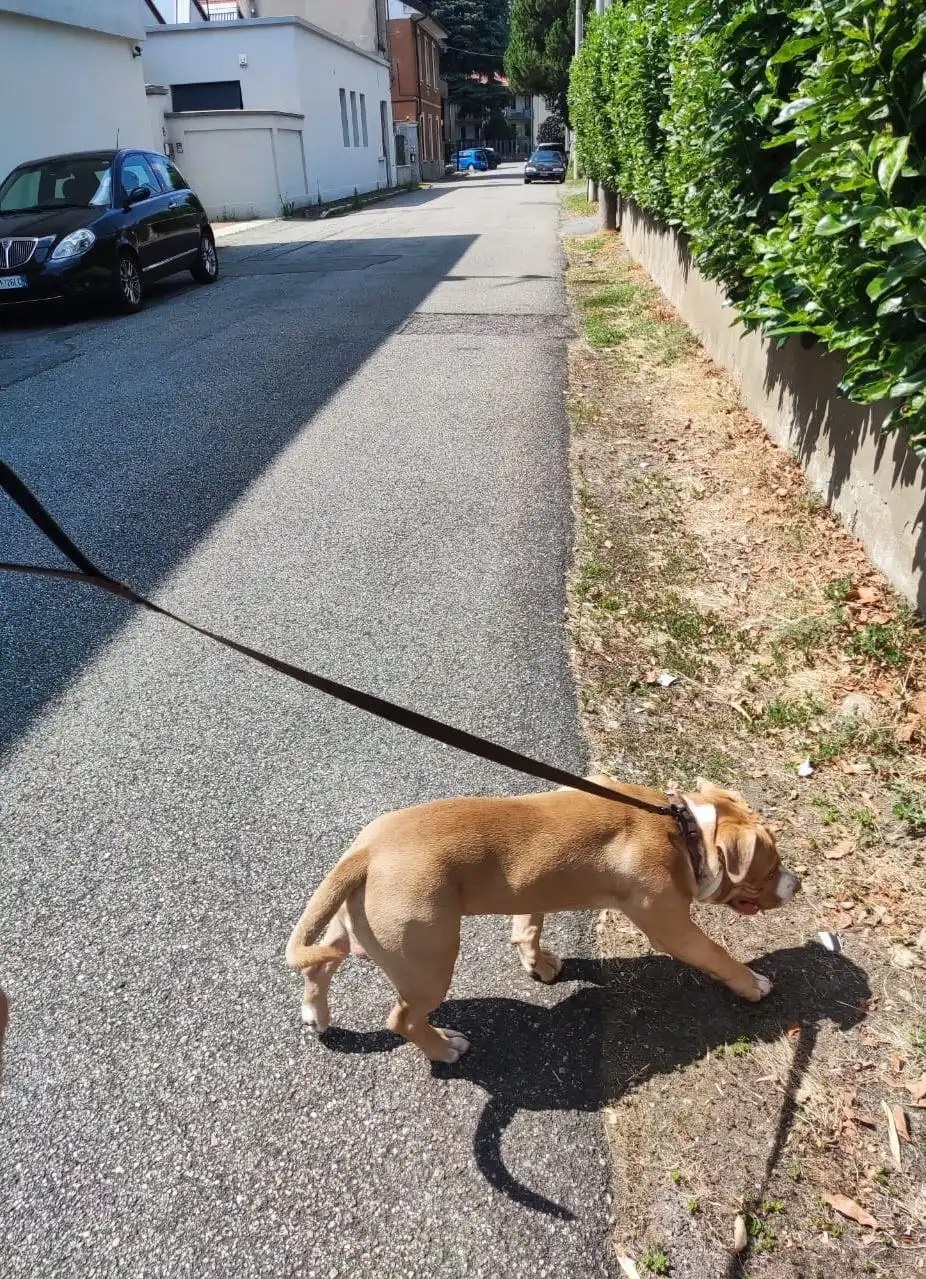 image-10