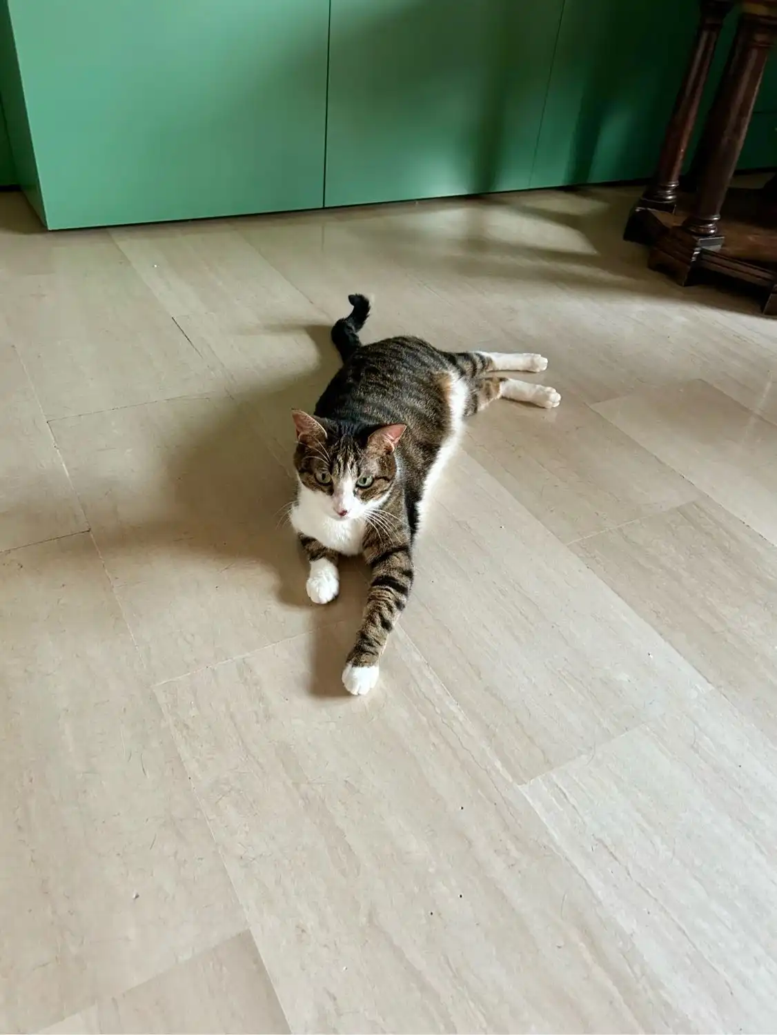 image-9