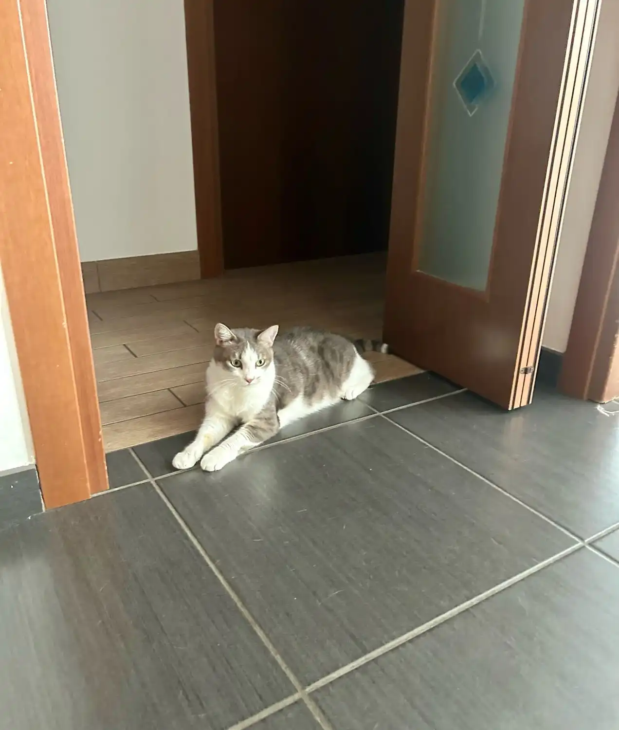 image-13