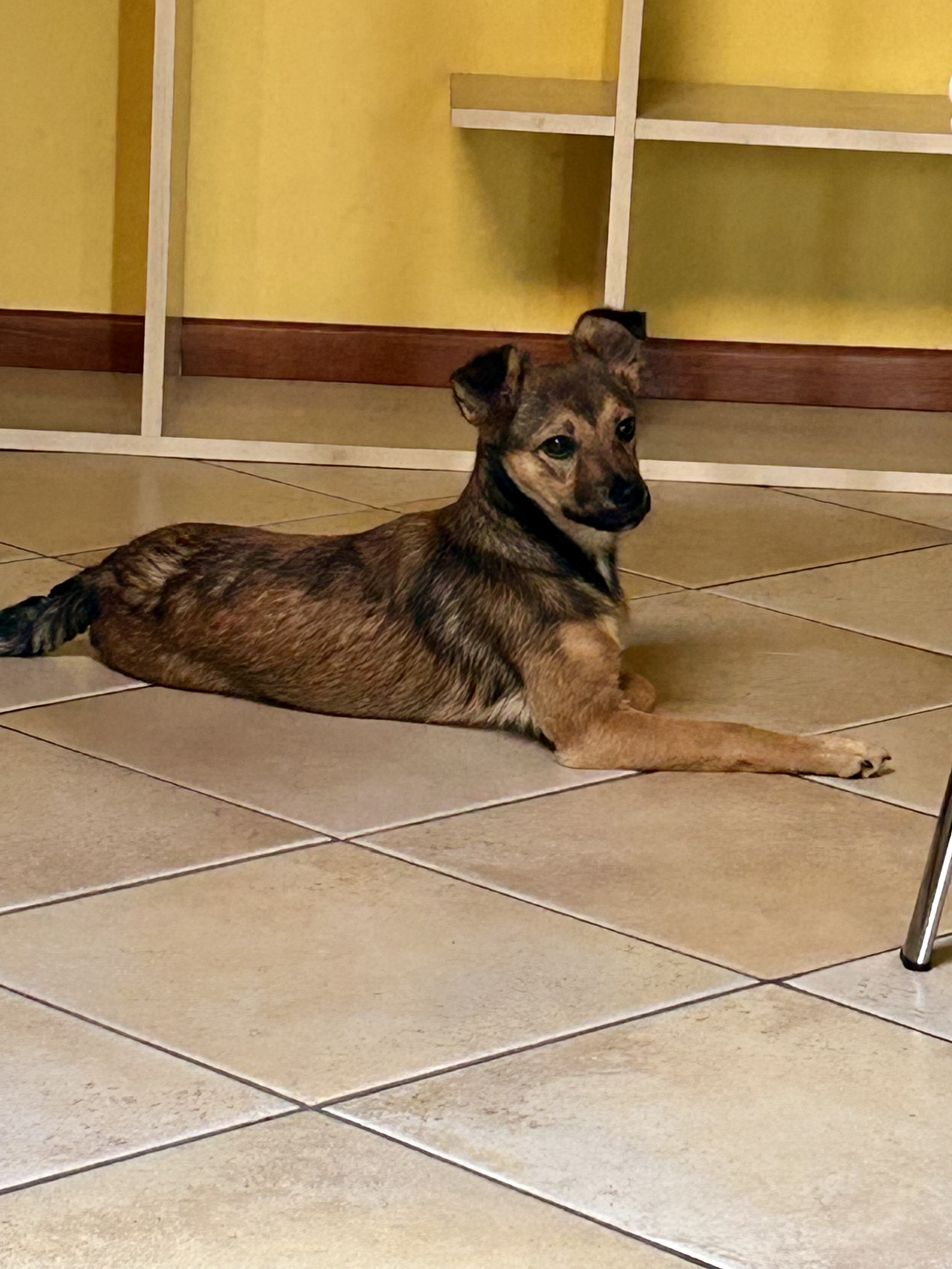 image-45
