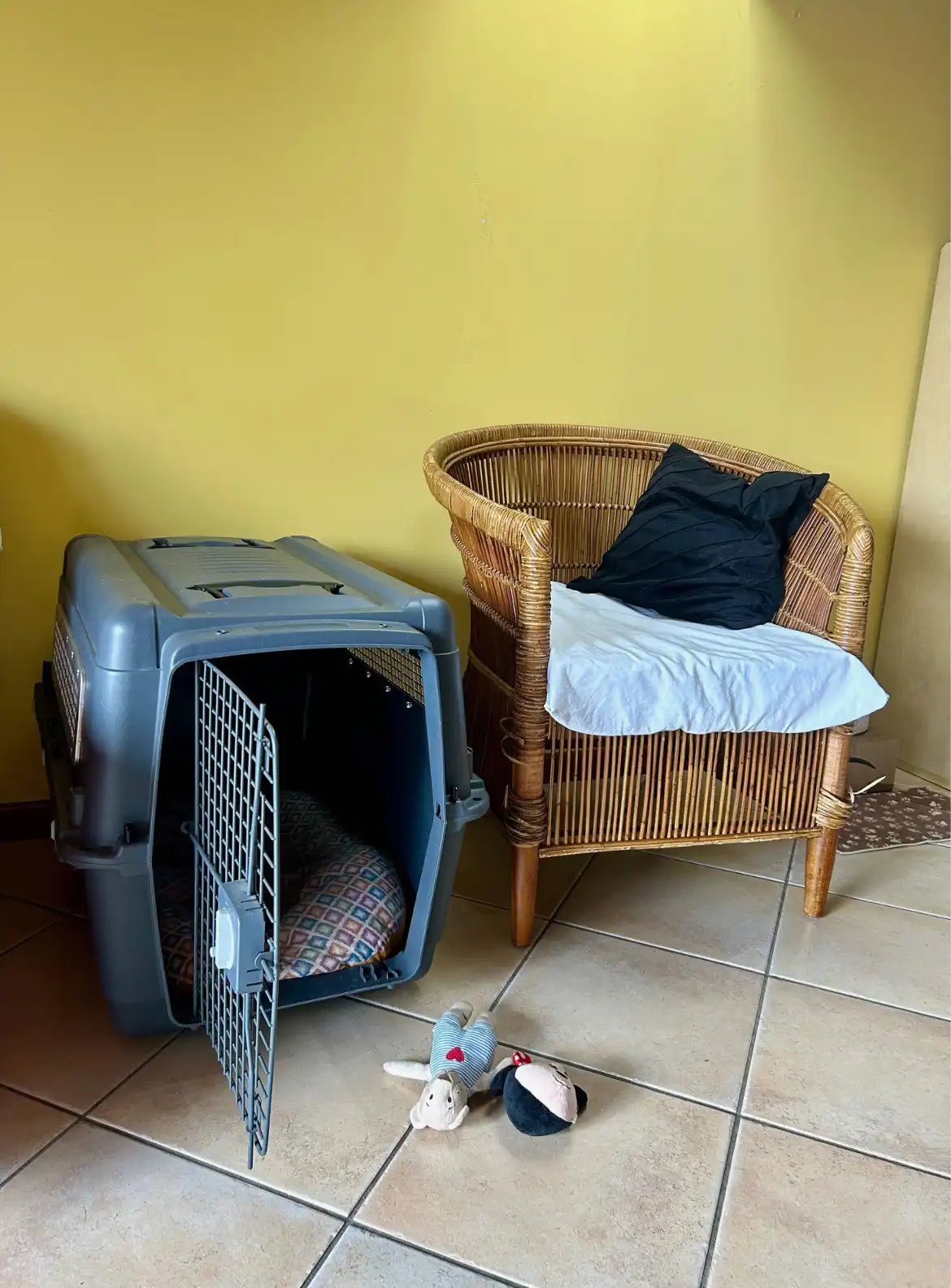 image-42