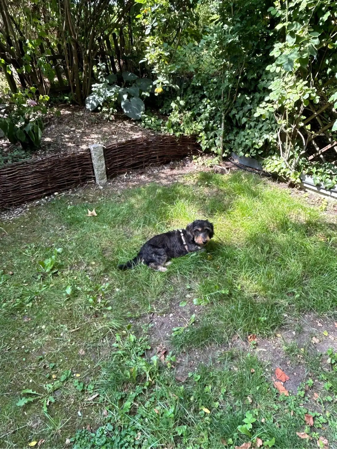 image-6