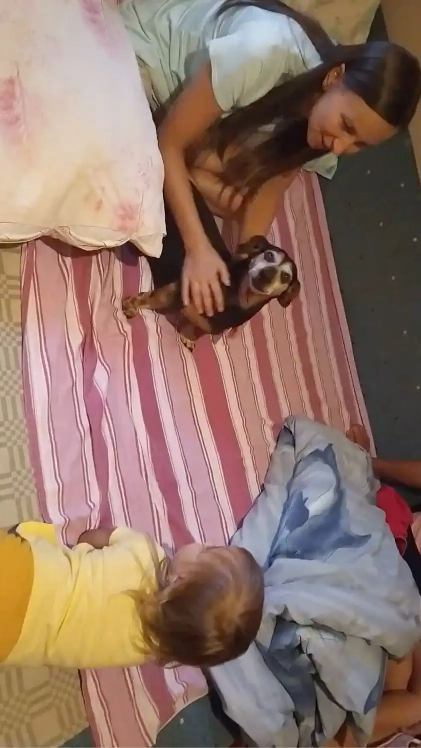 image-6