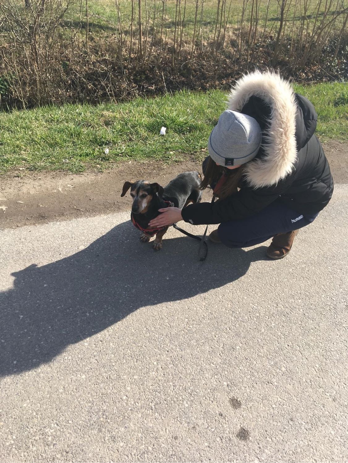image-11