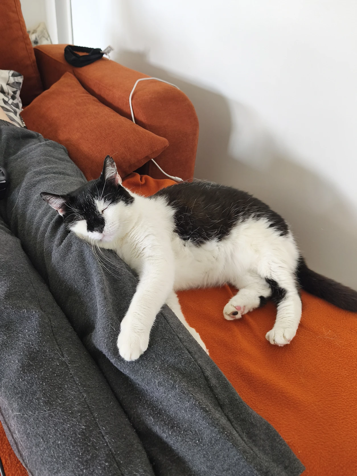 image-10