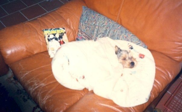 image-1
