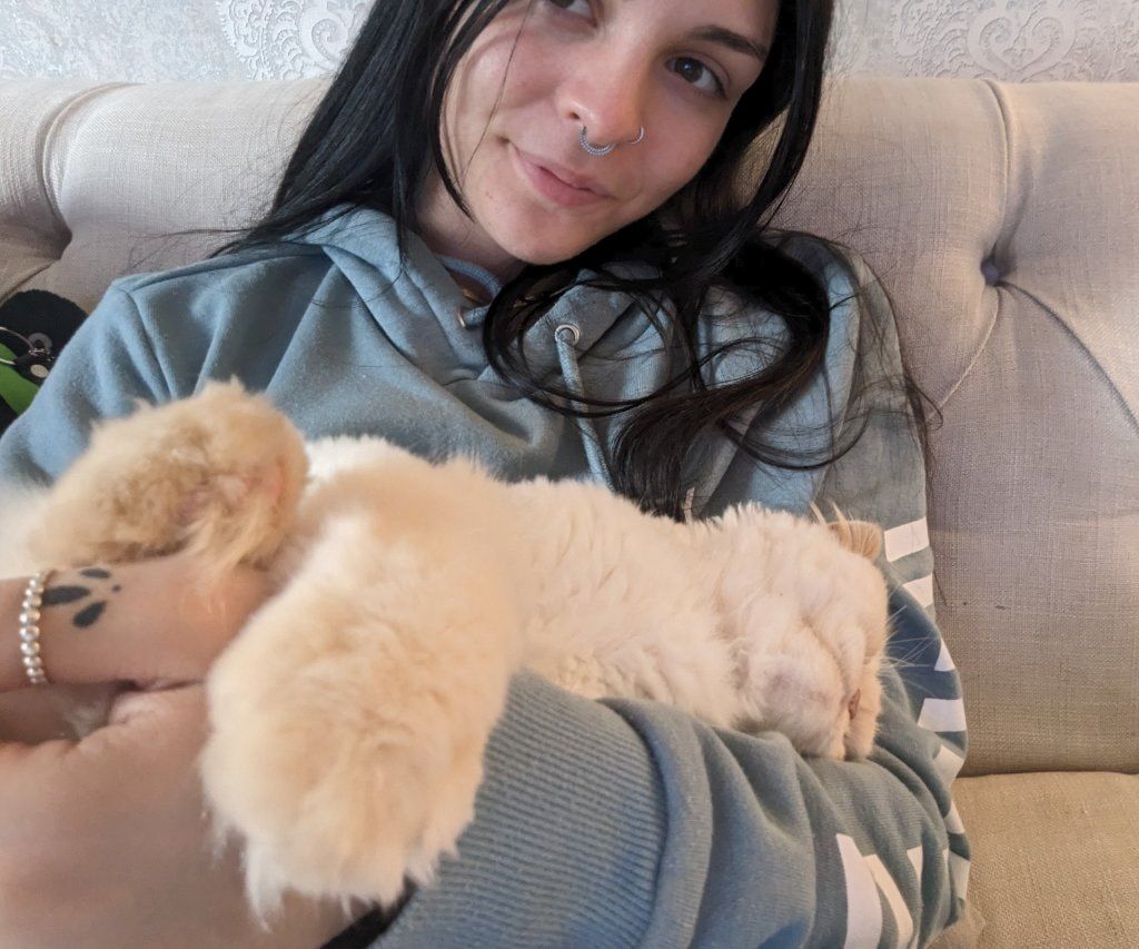 image-8
