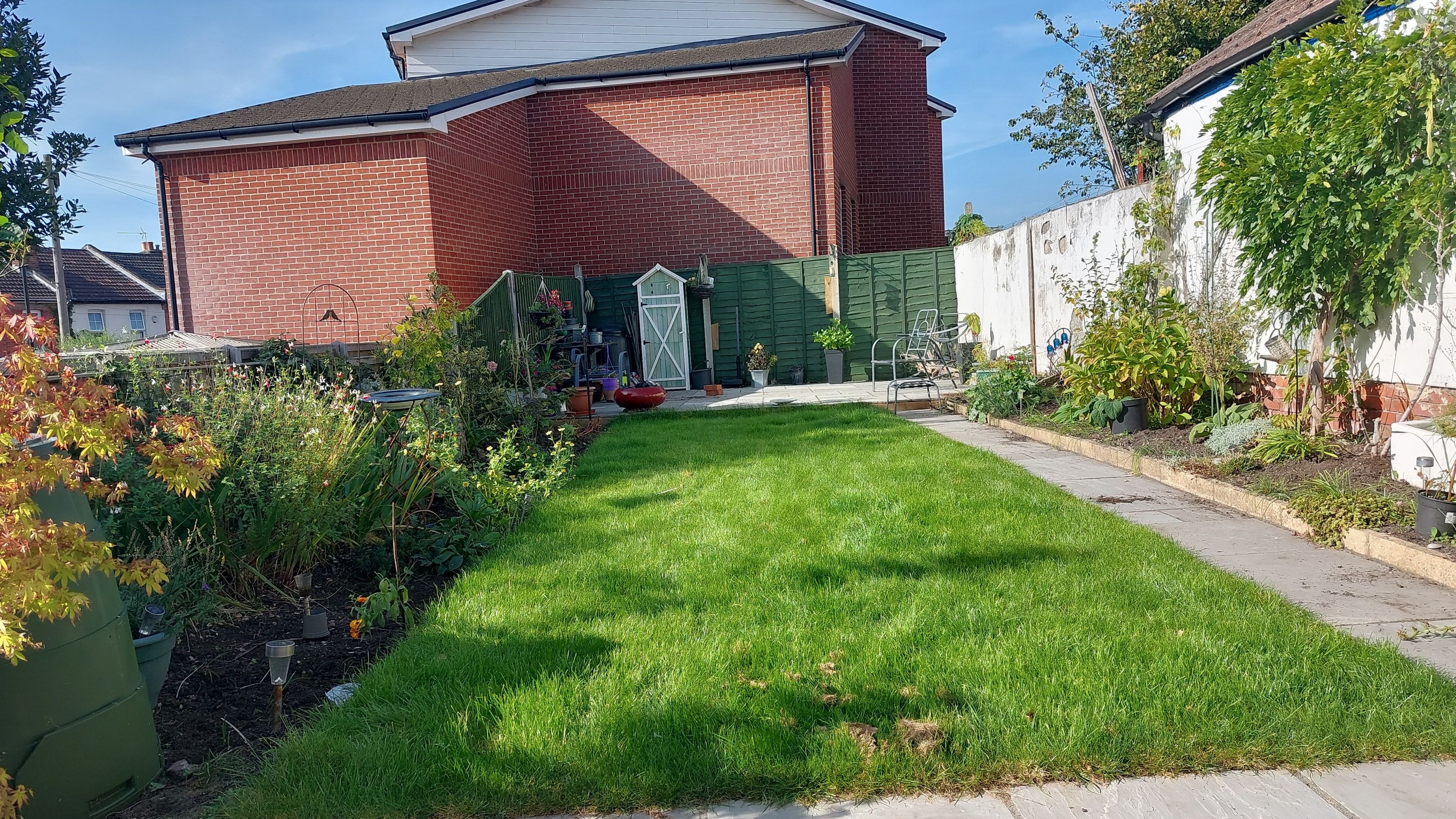image-1