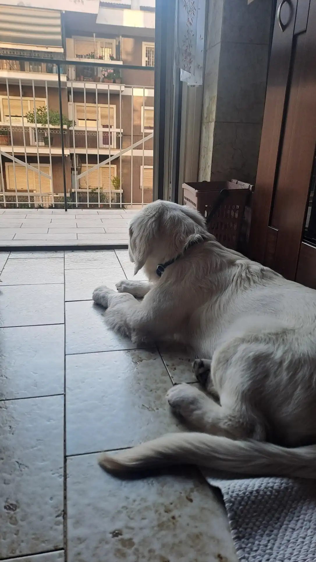 image-22