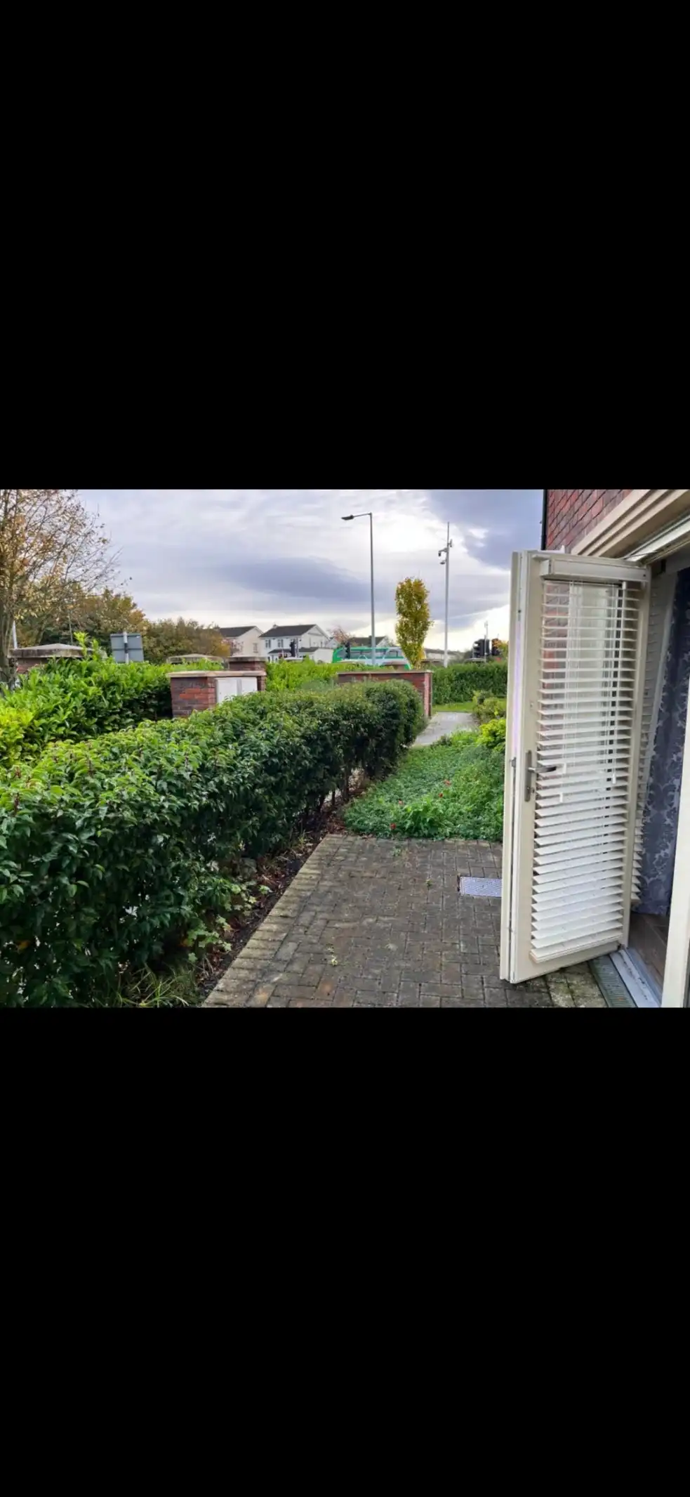 image-17