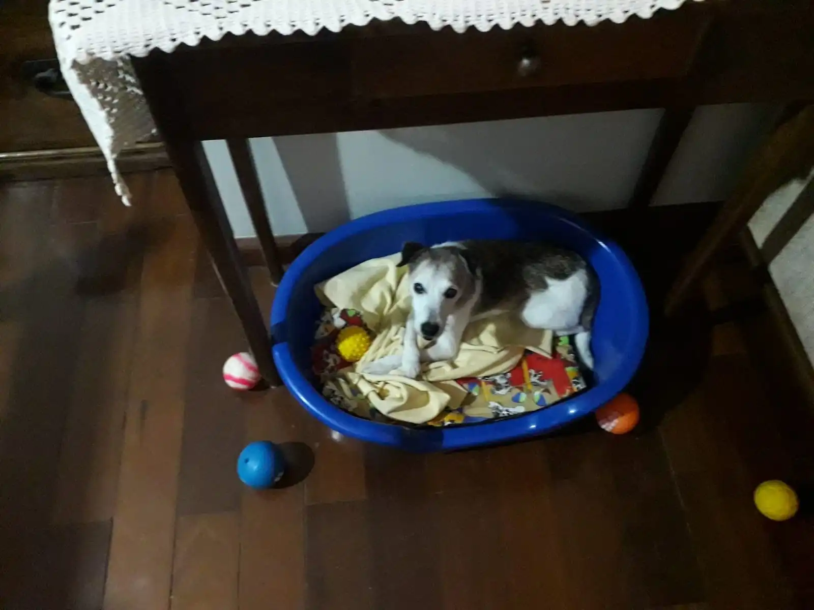 image-5