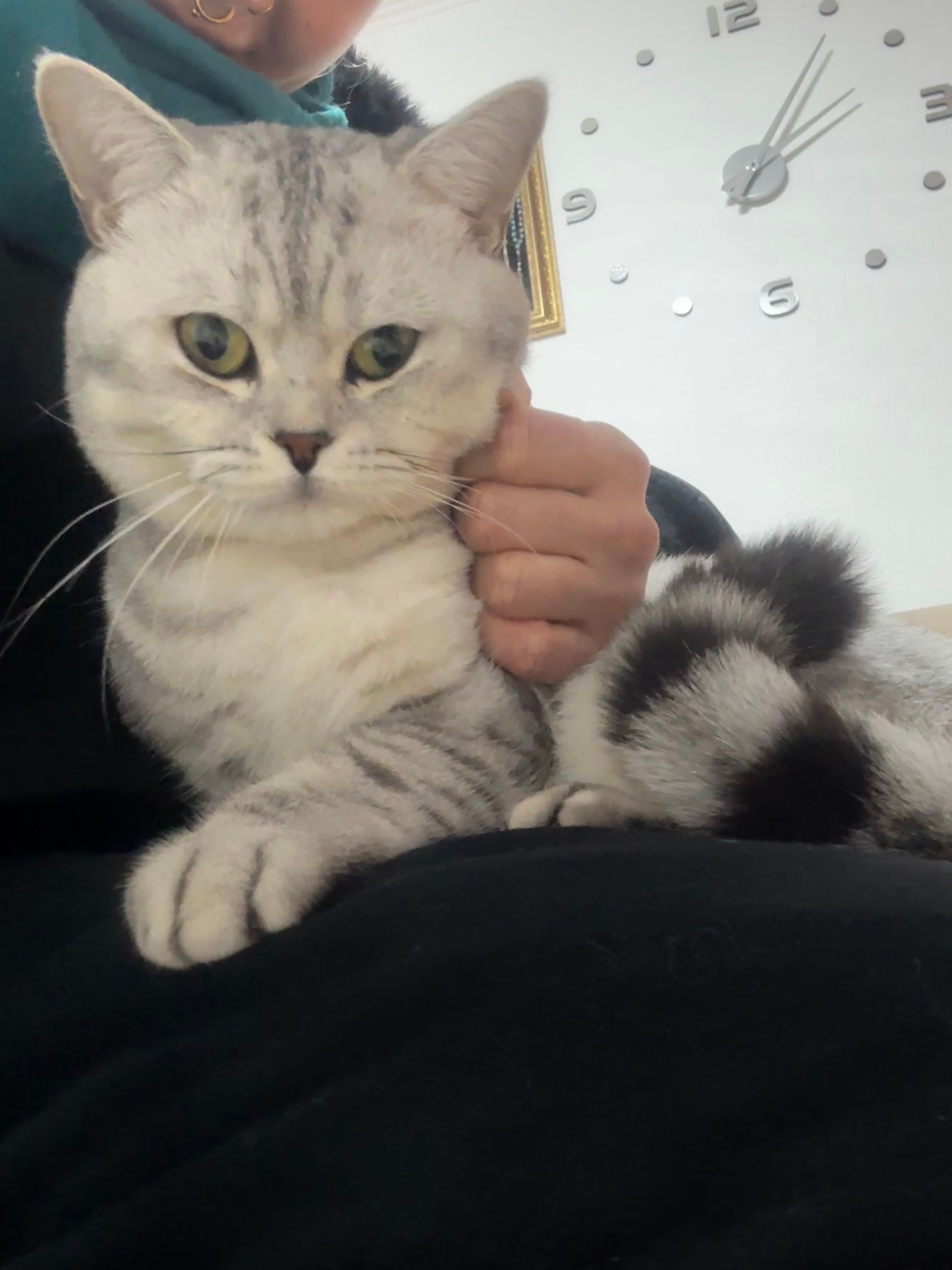 image-8