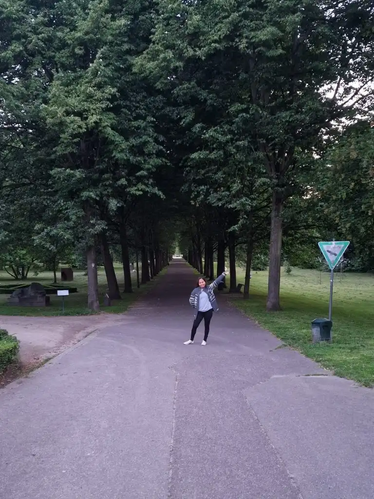 image-10