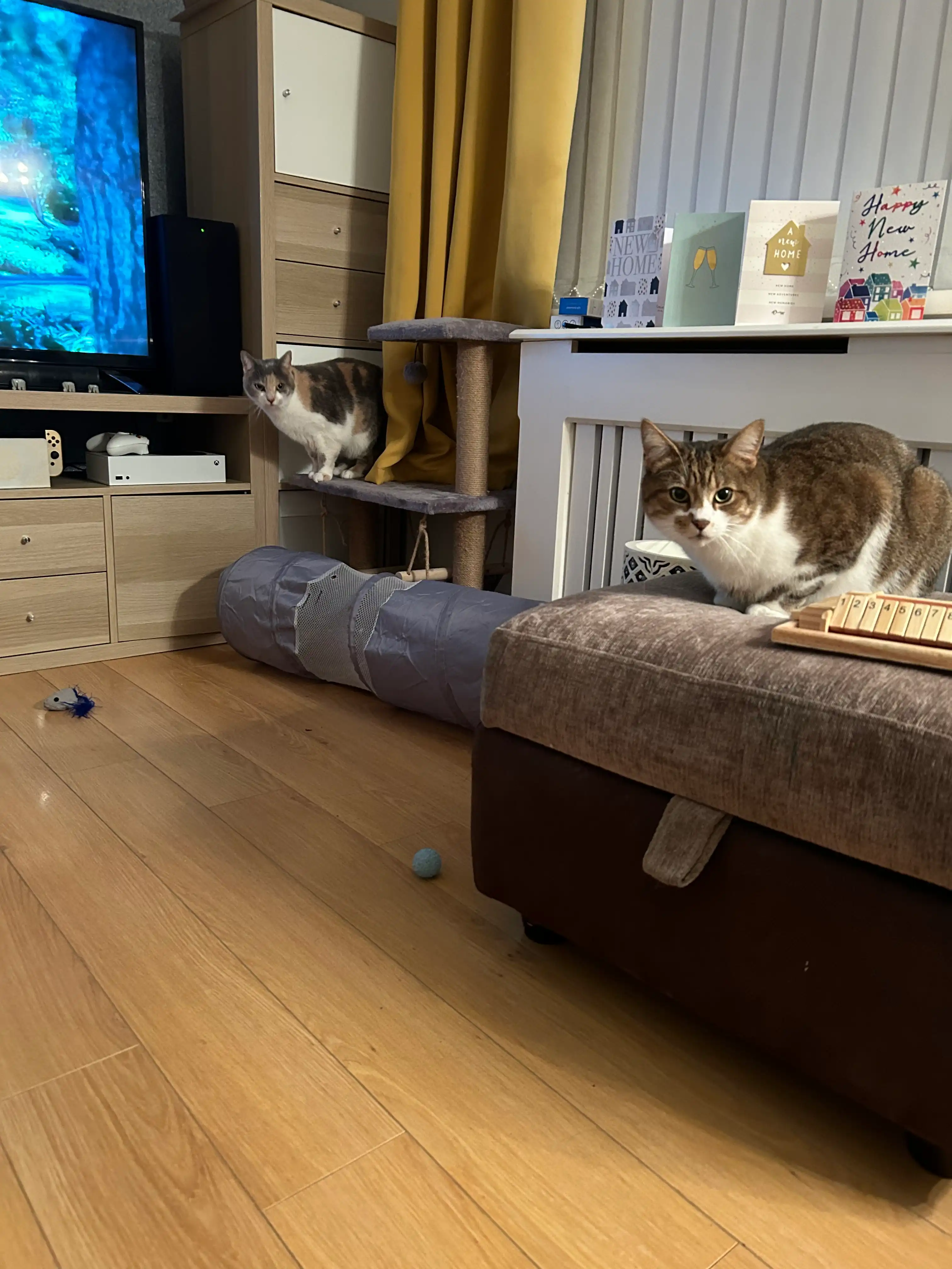 image-12