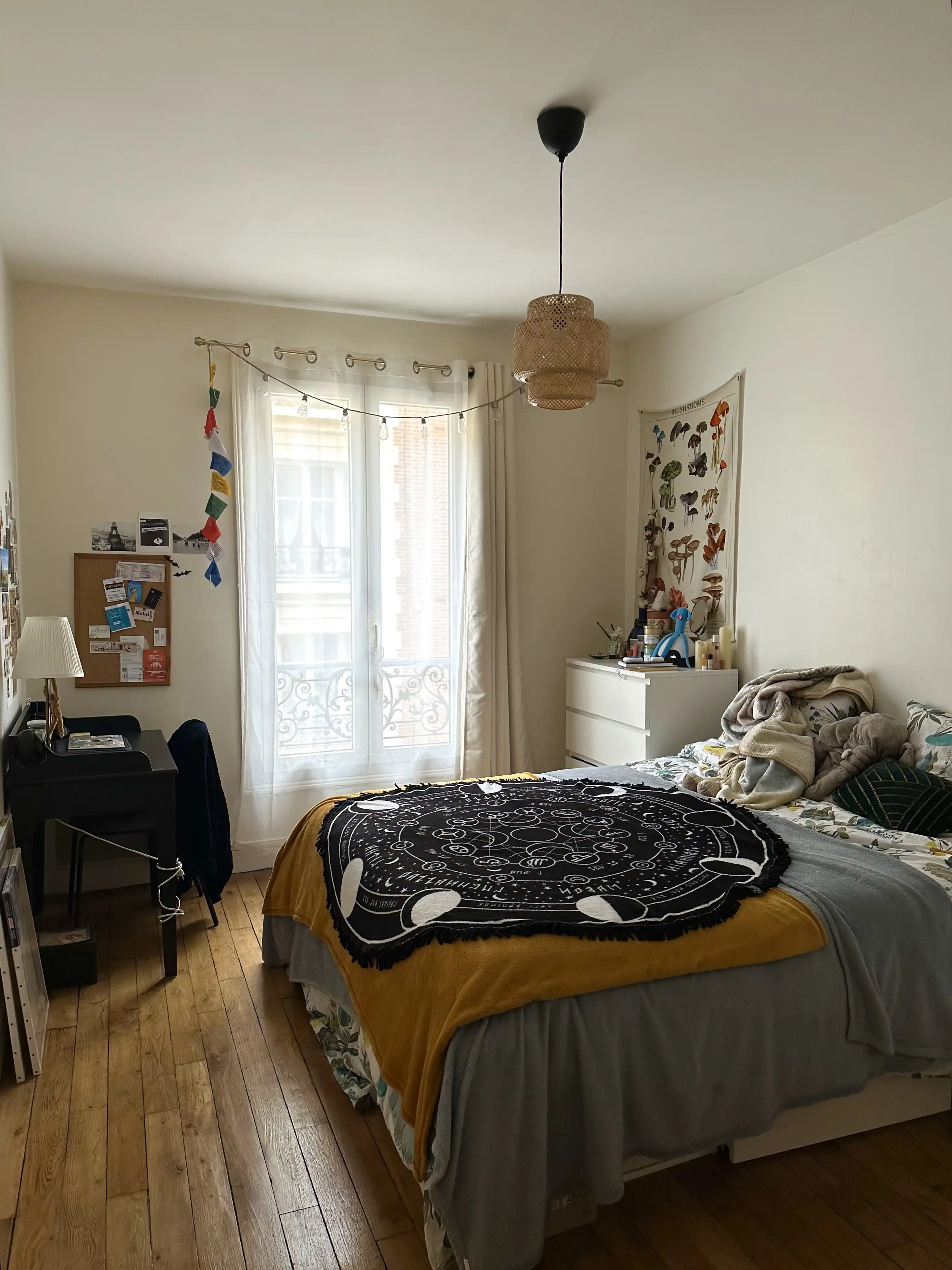 image-13