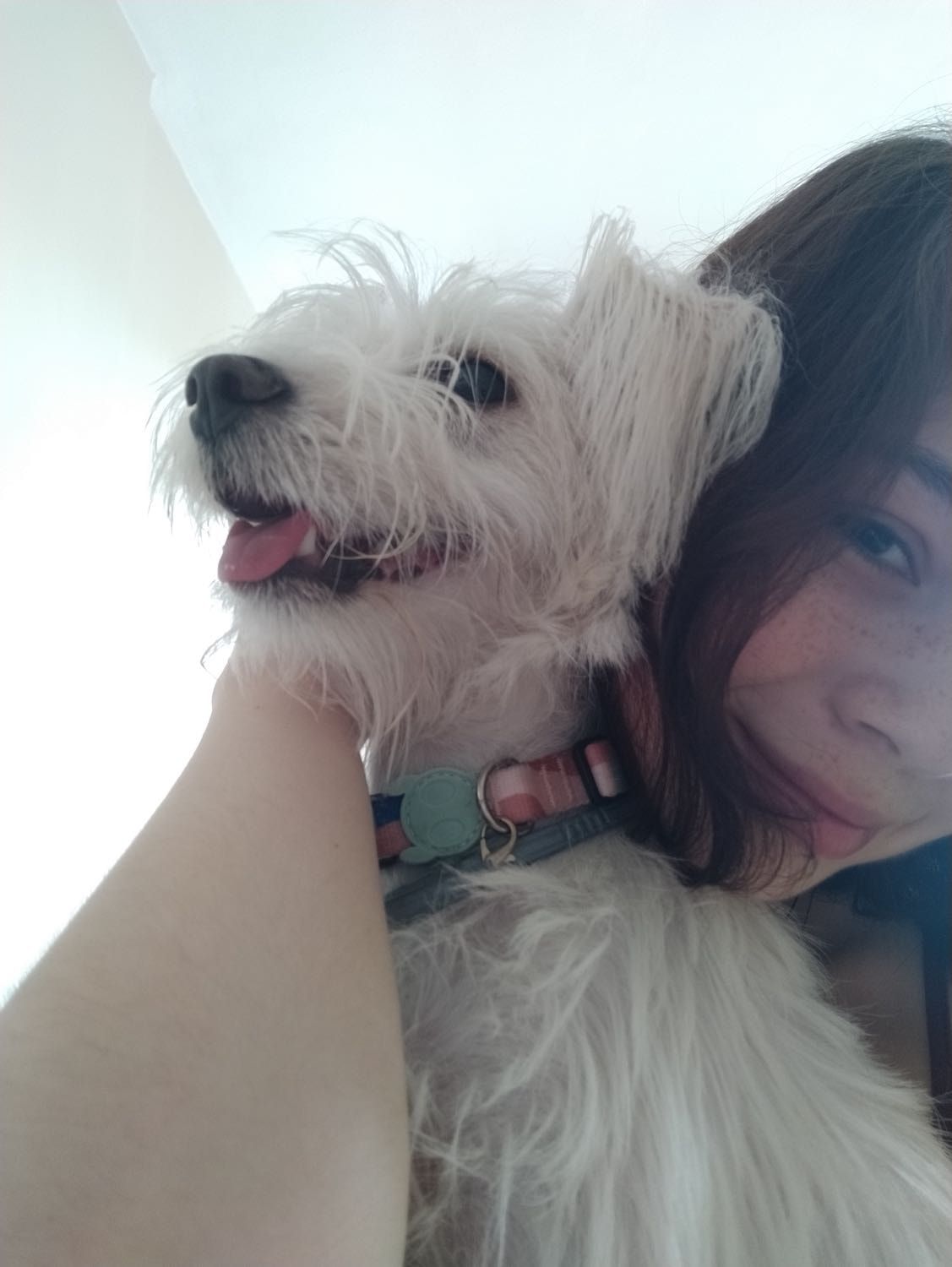 image-7