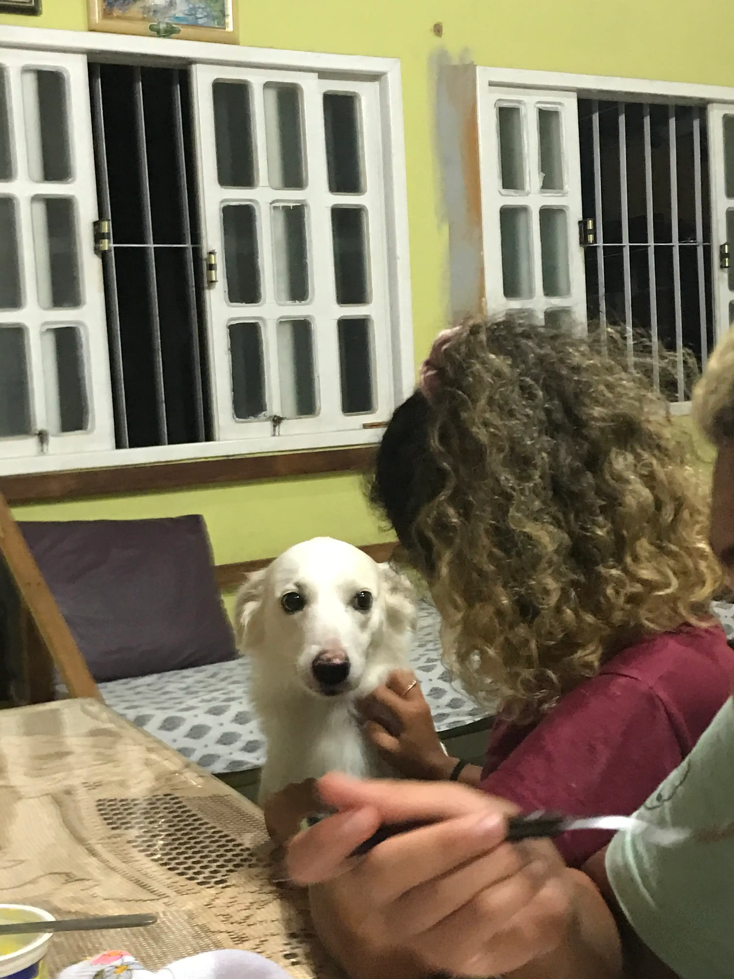 image-10