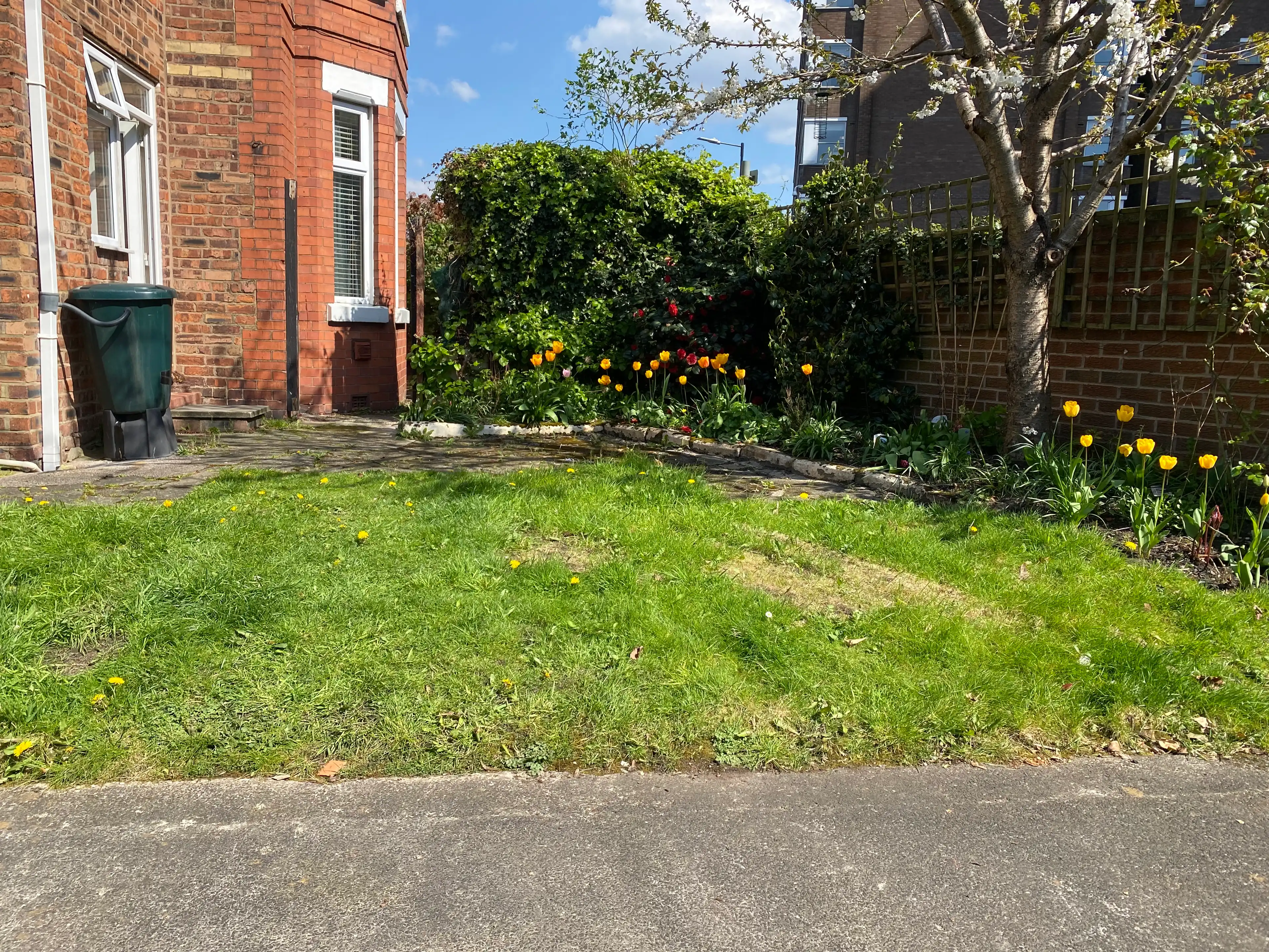 image-18