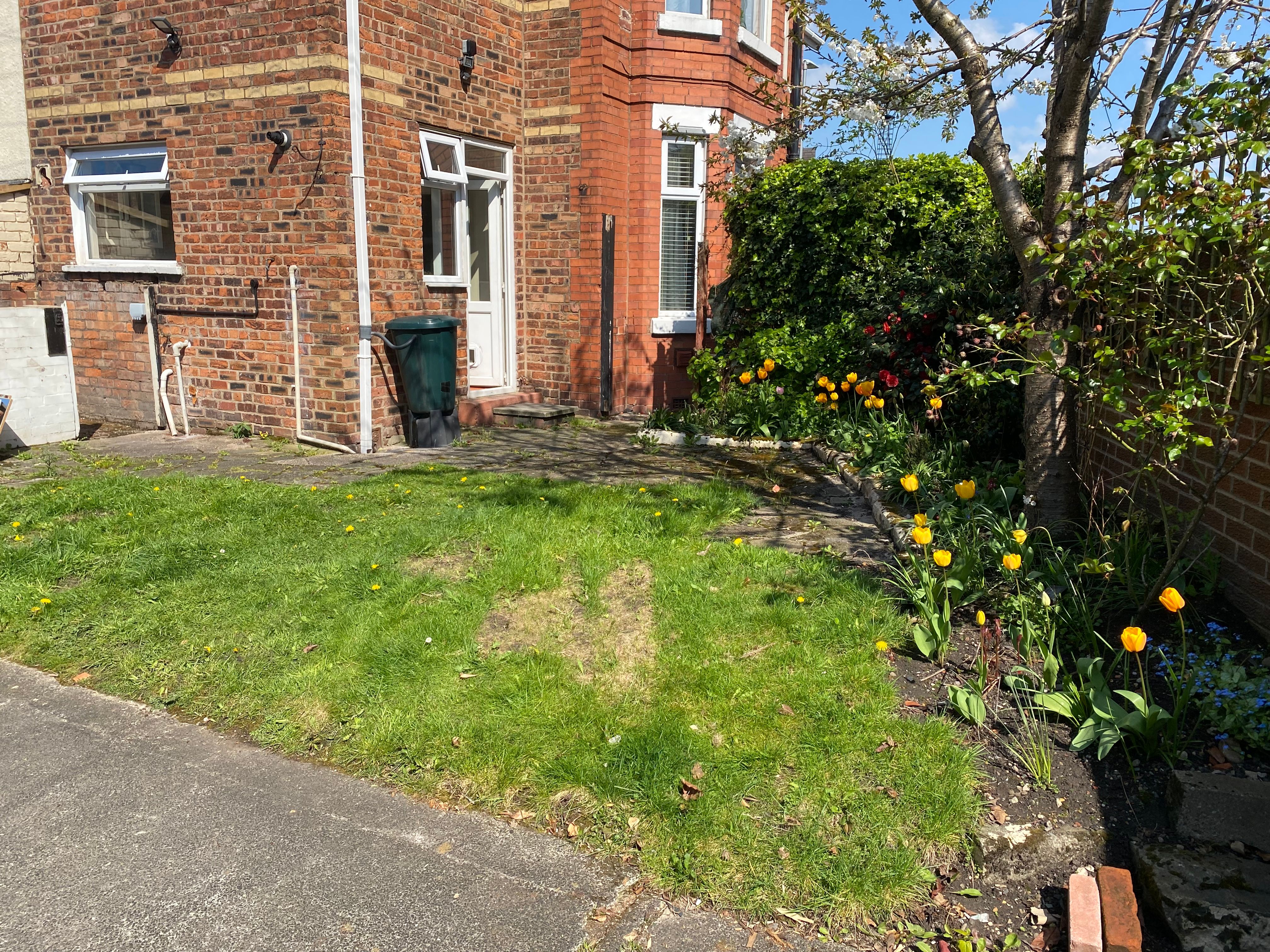 image-15