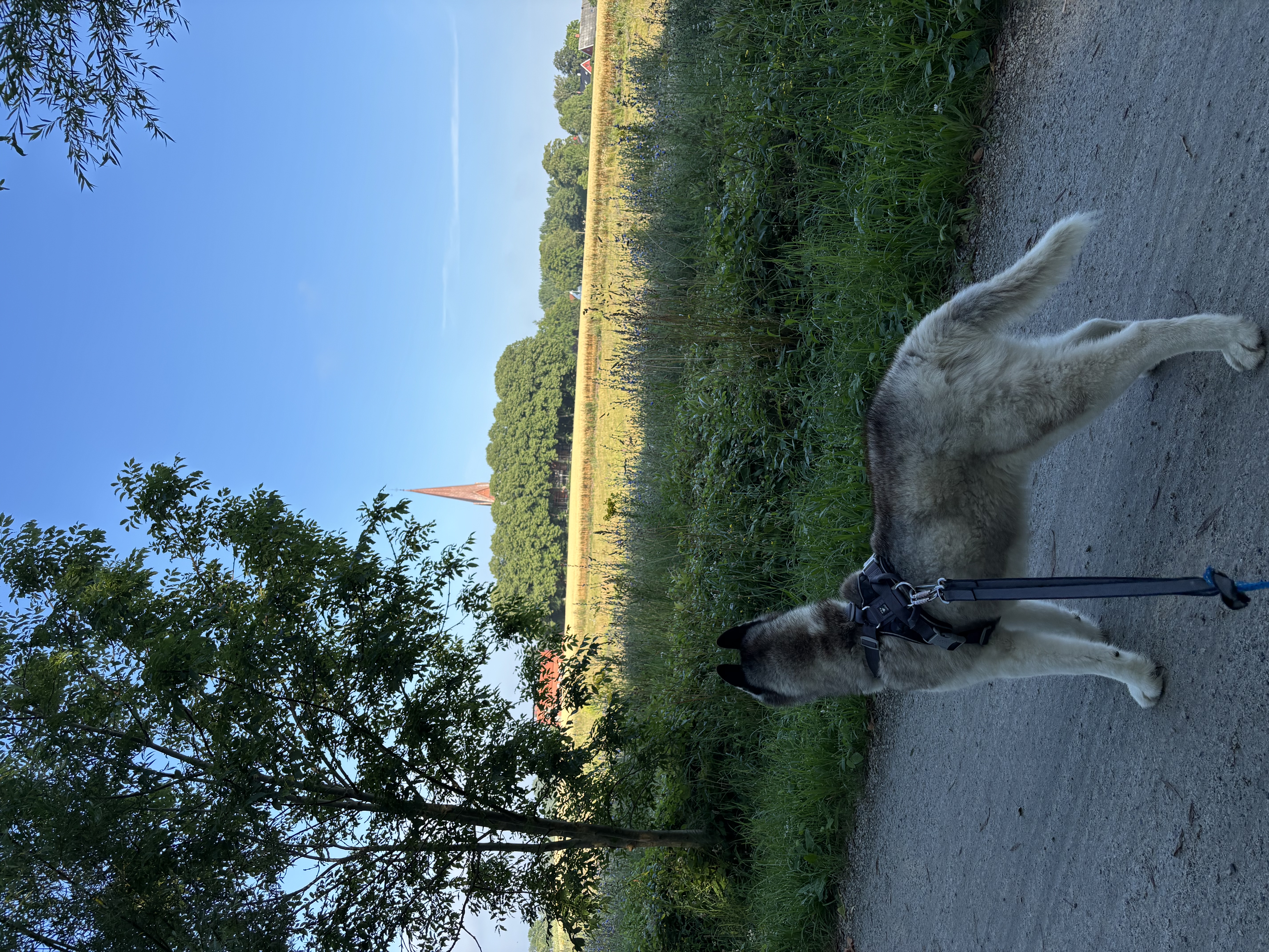 image-22