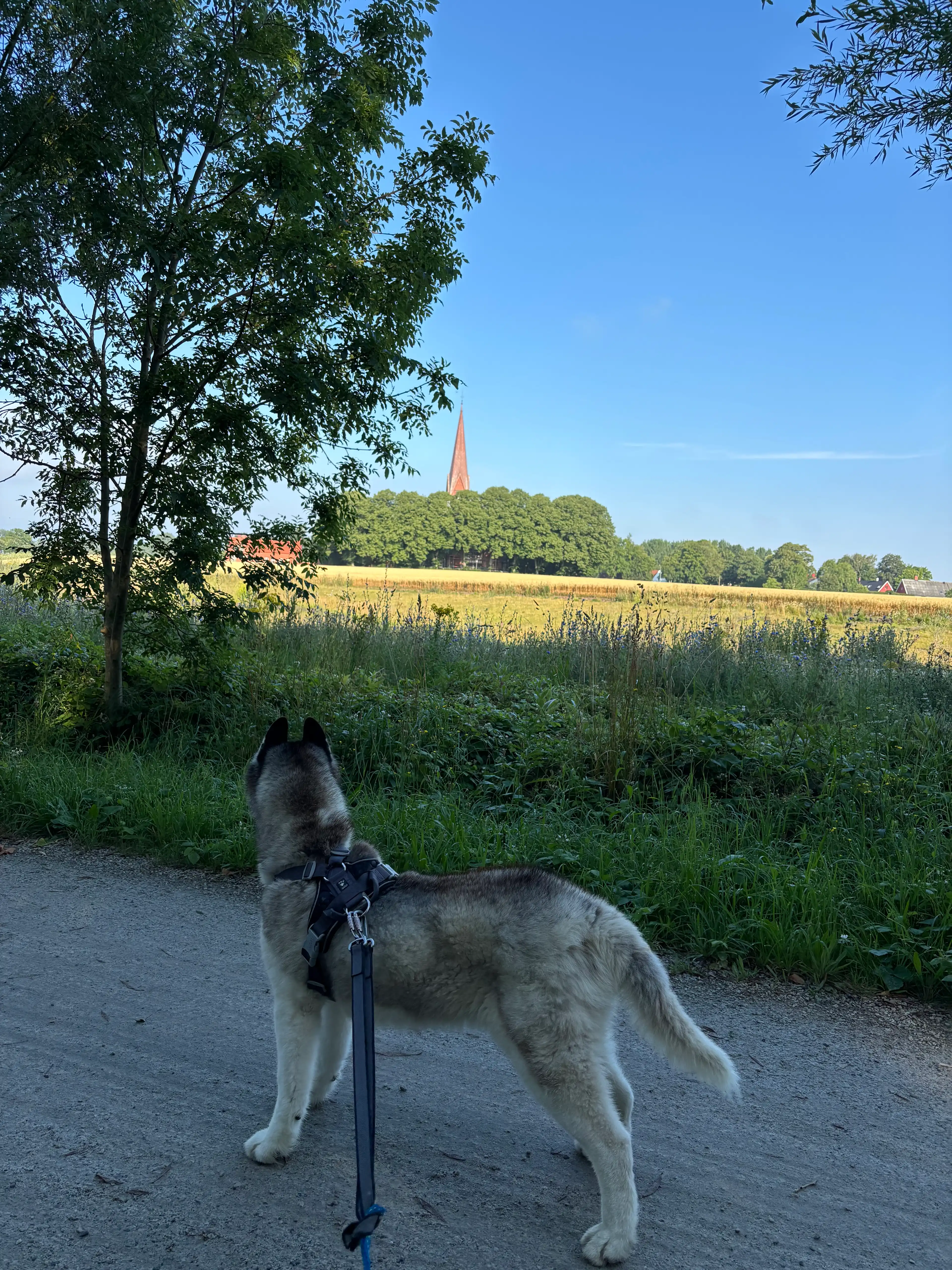 image-22