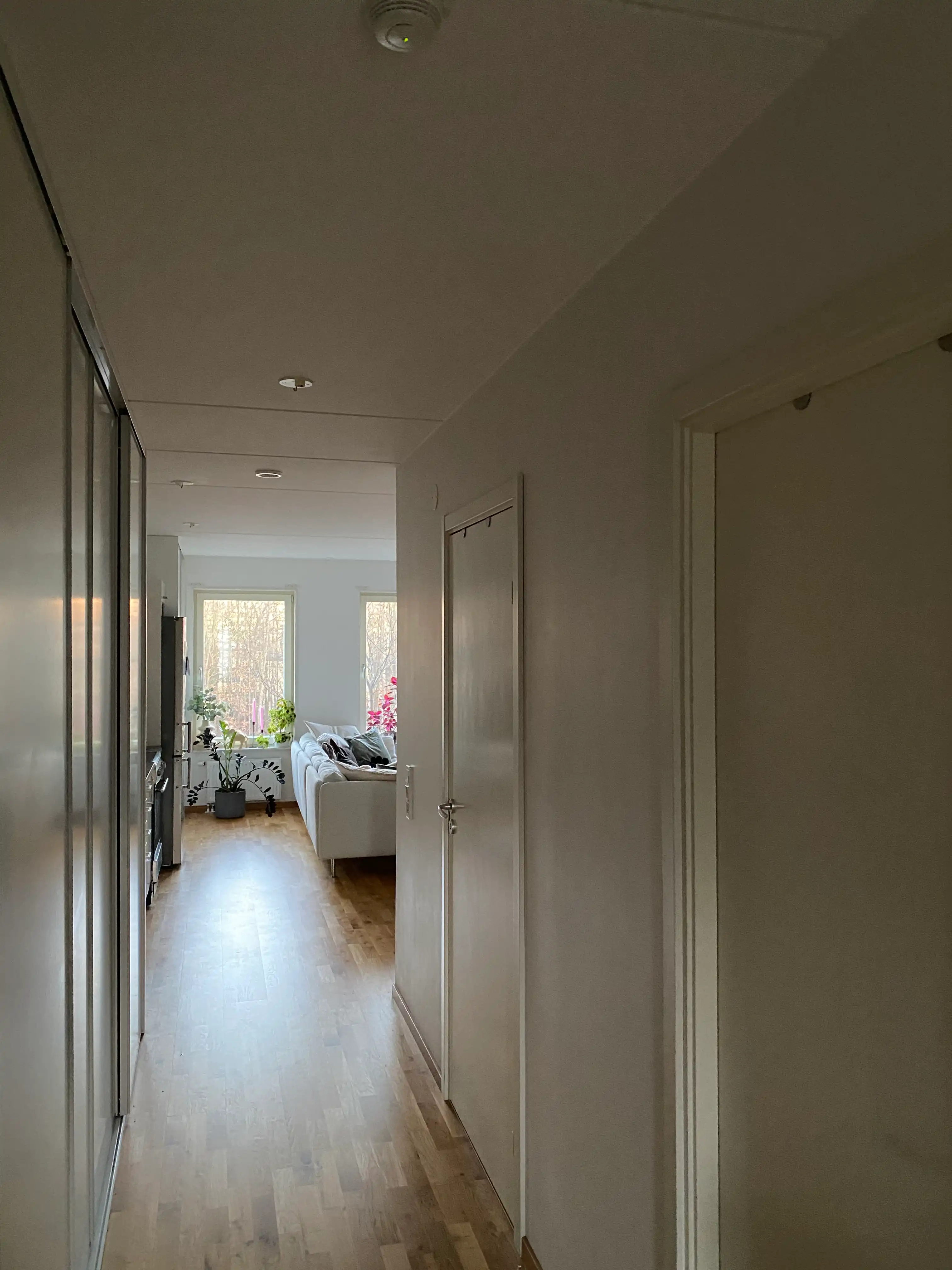 image-18