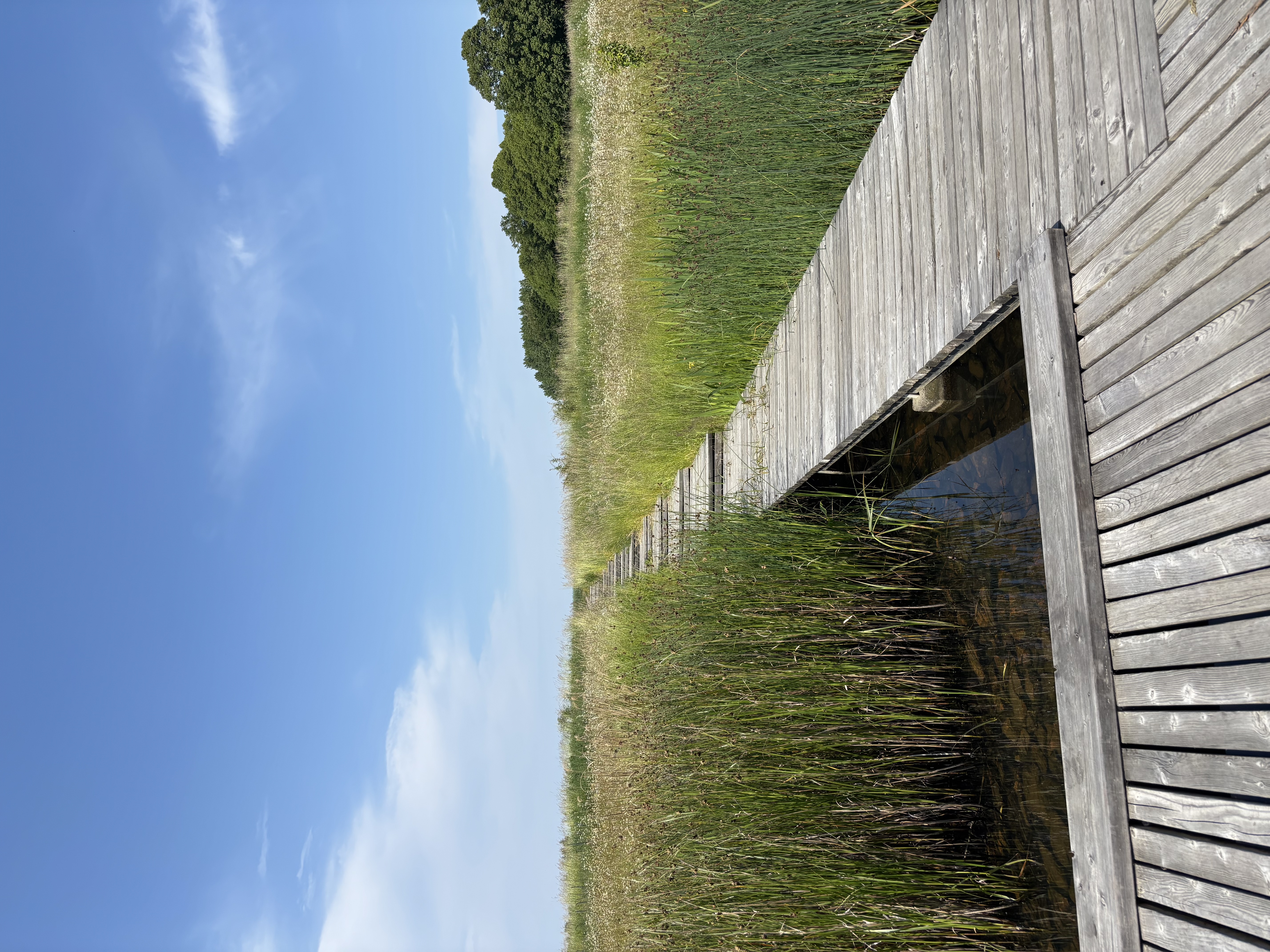 image-20