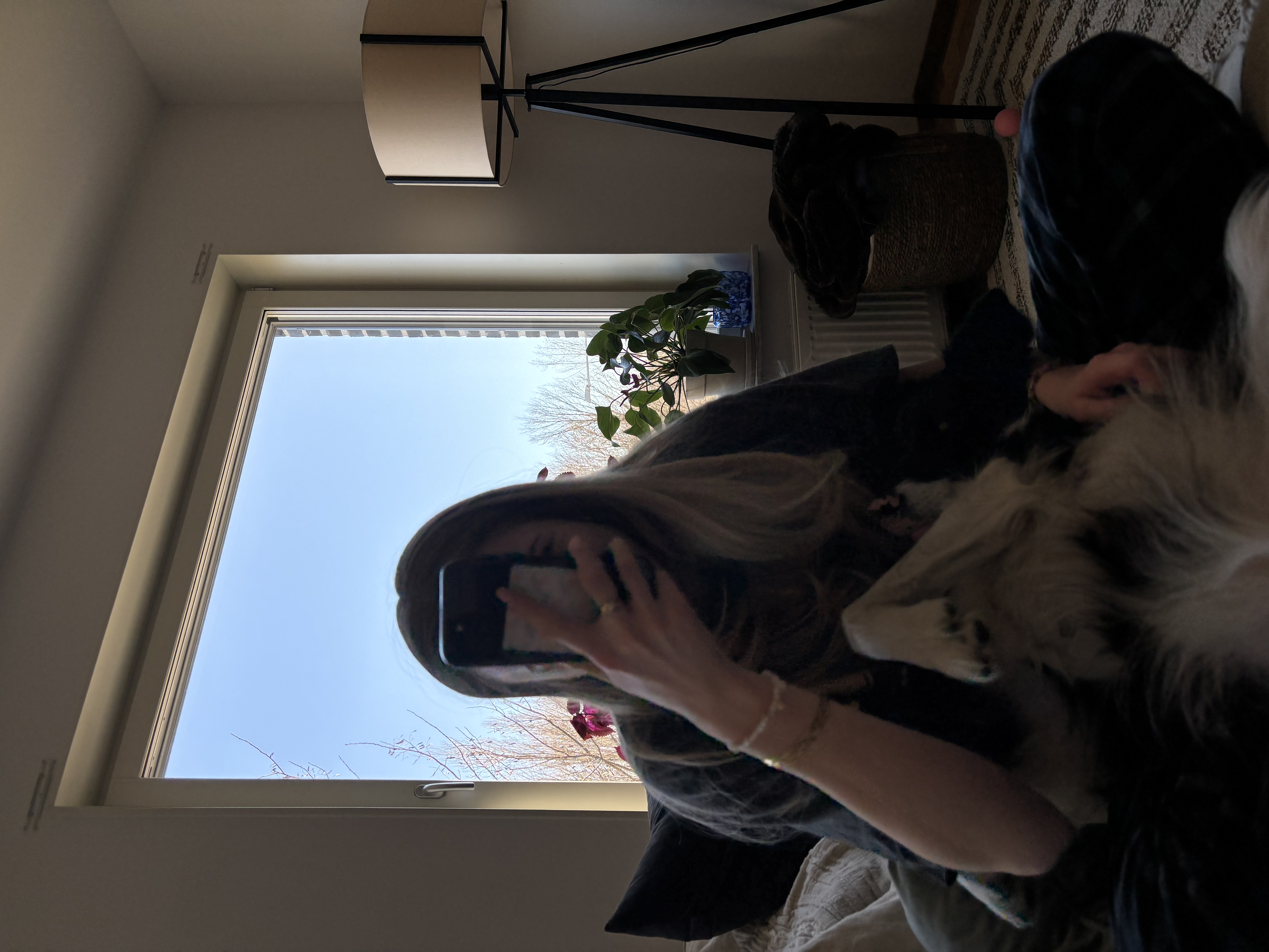image-17