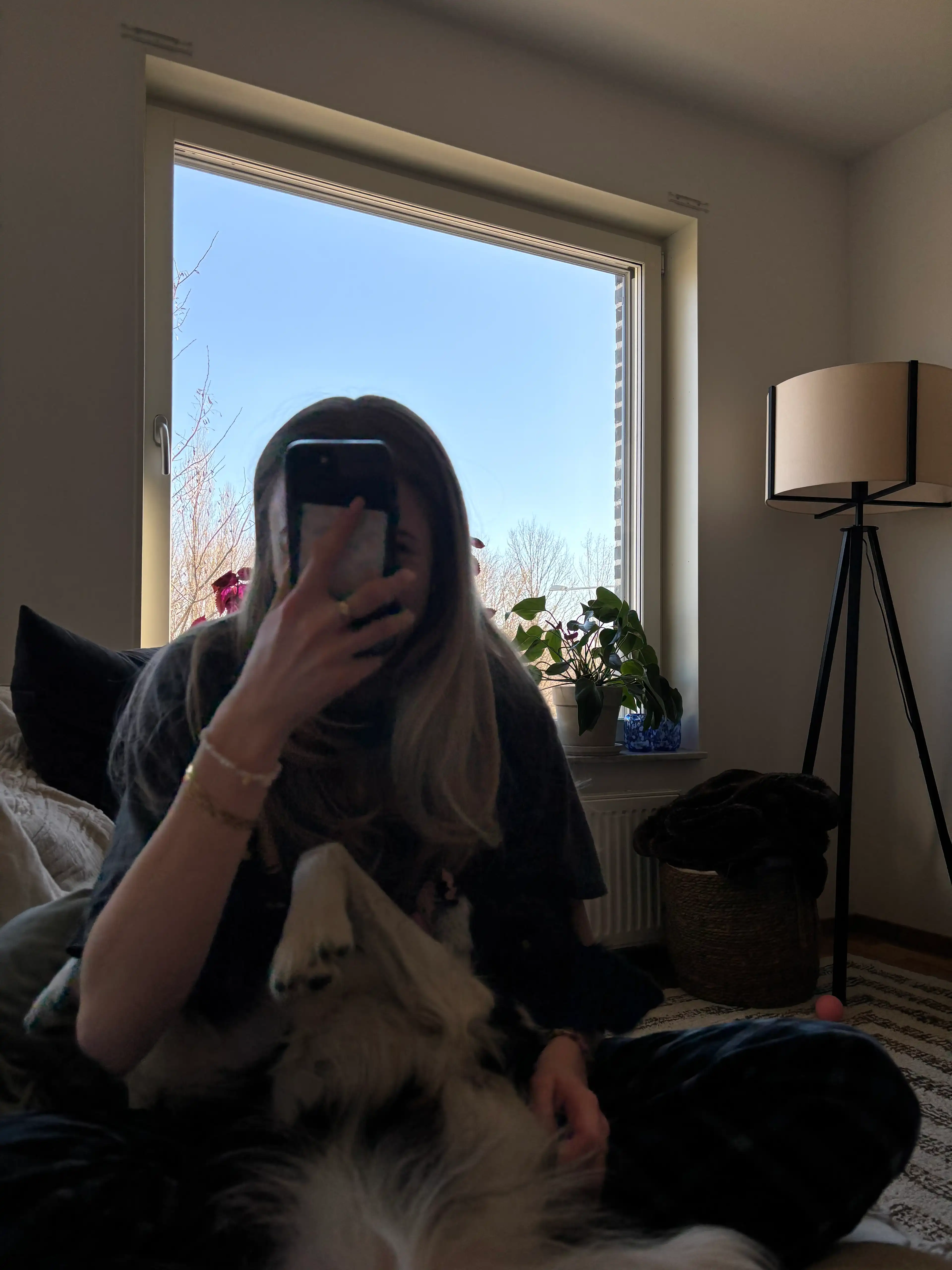 image-17