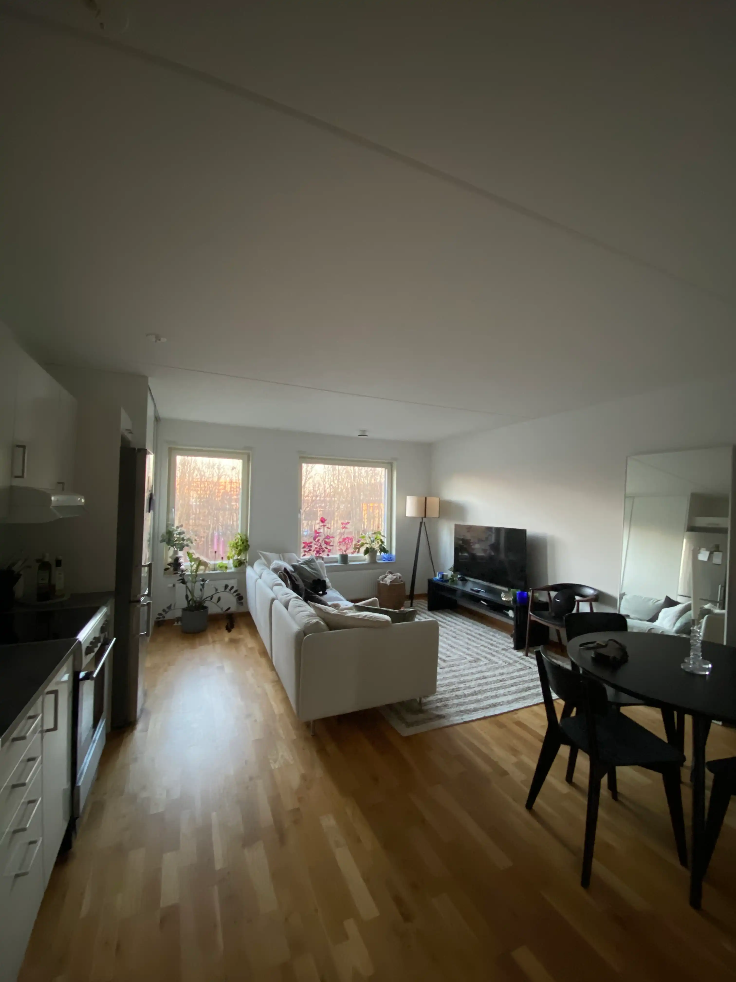 image-19