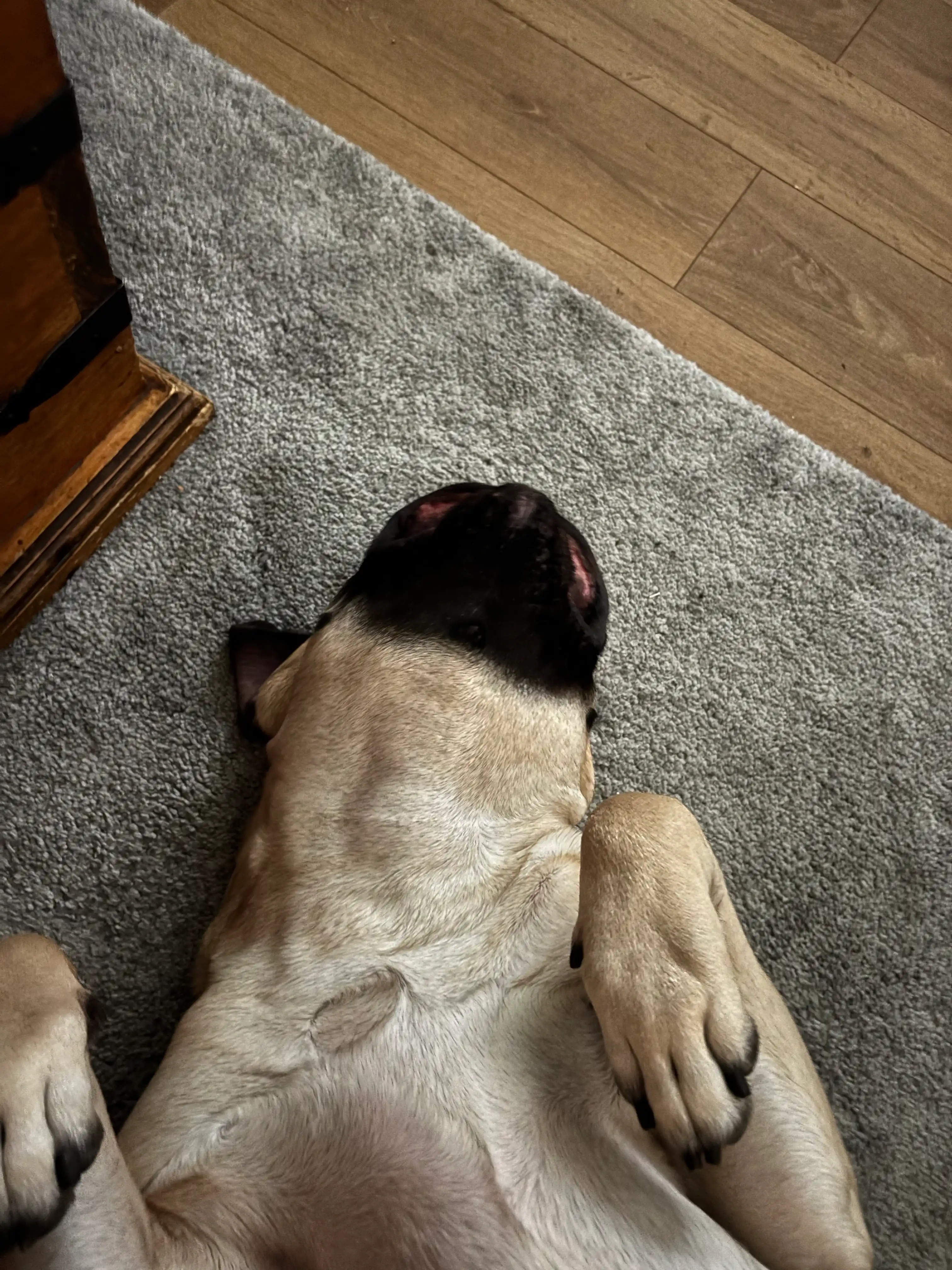 image-8