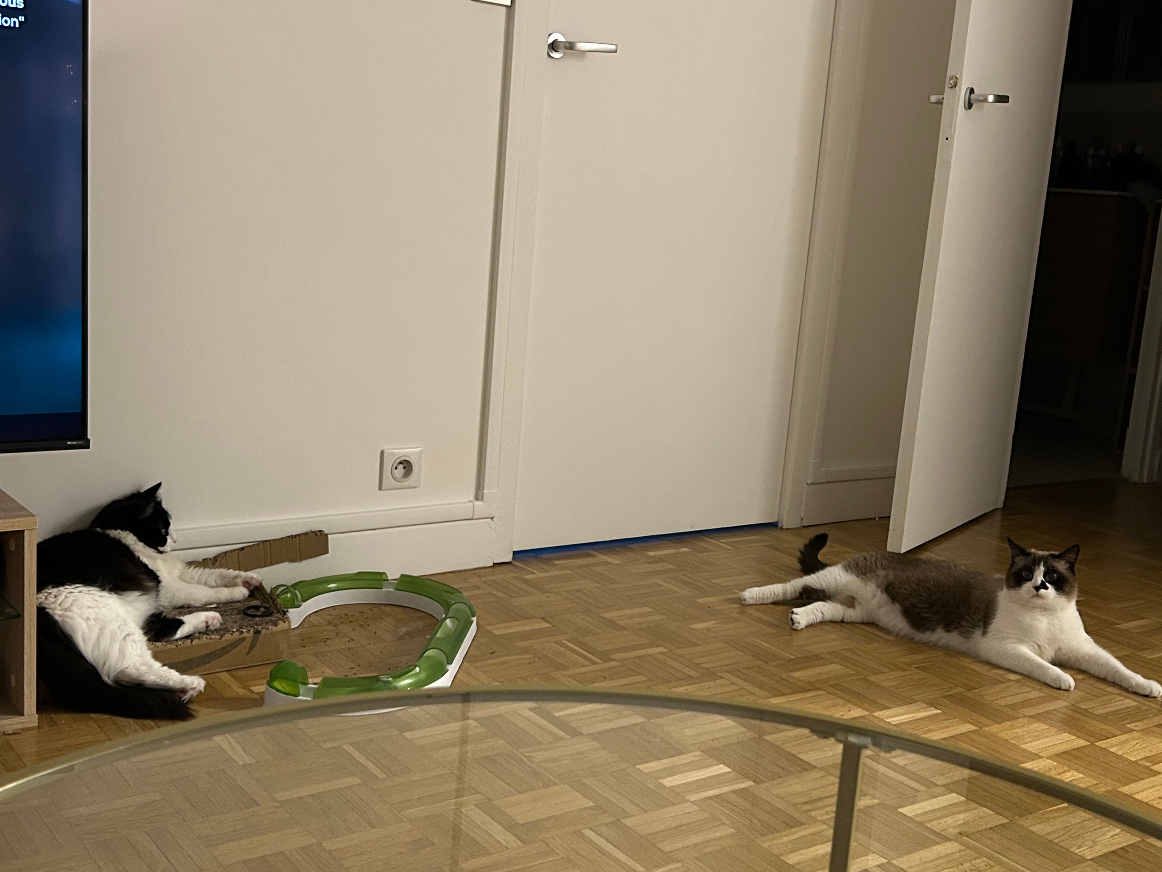 image-10