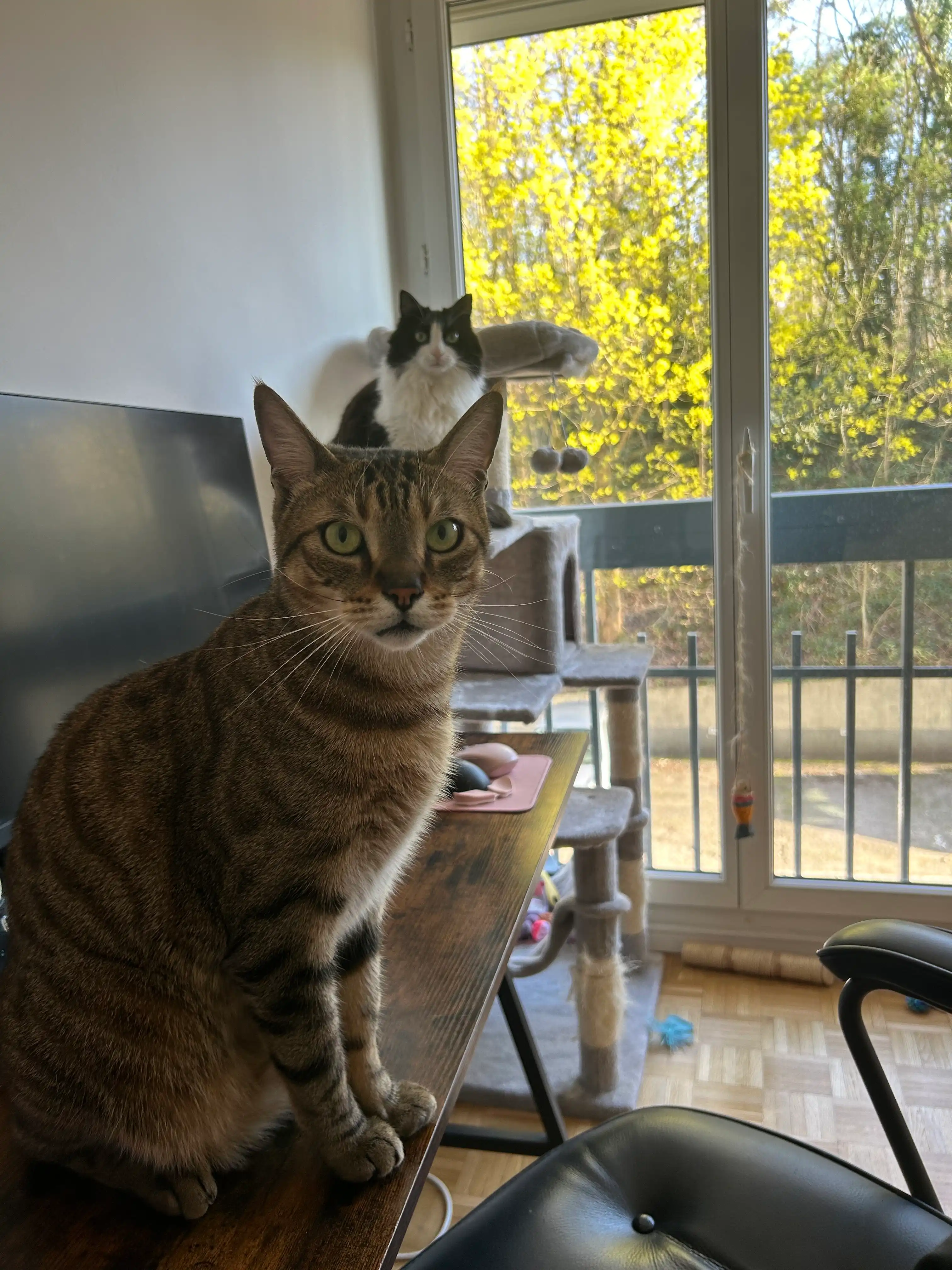 image-6