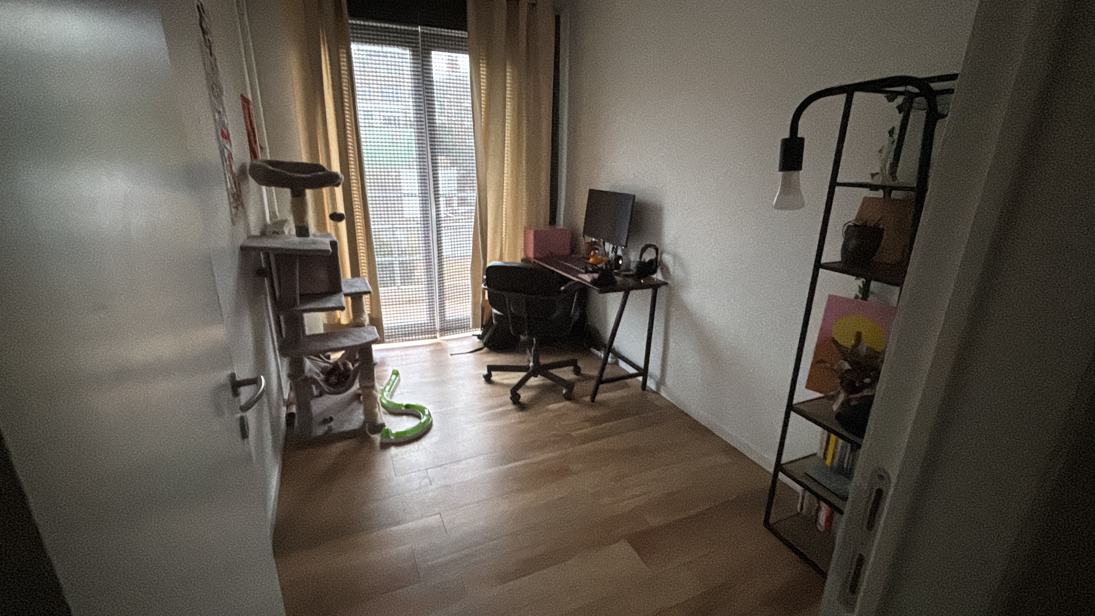 image-19