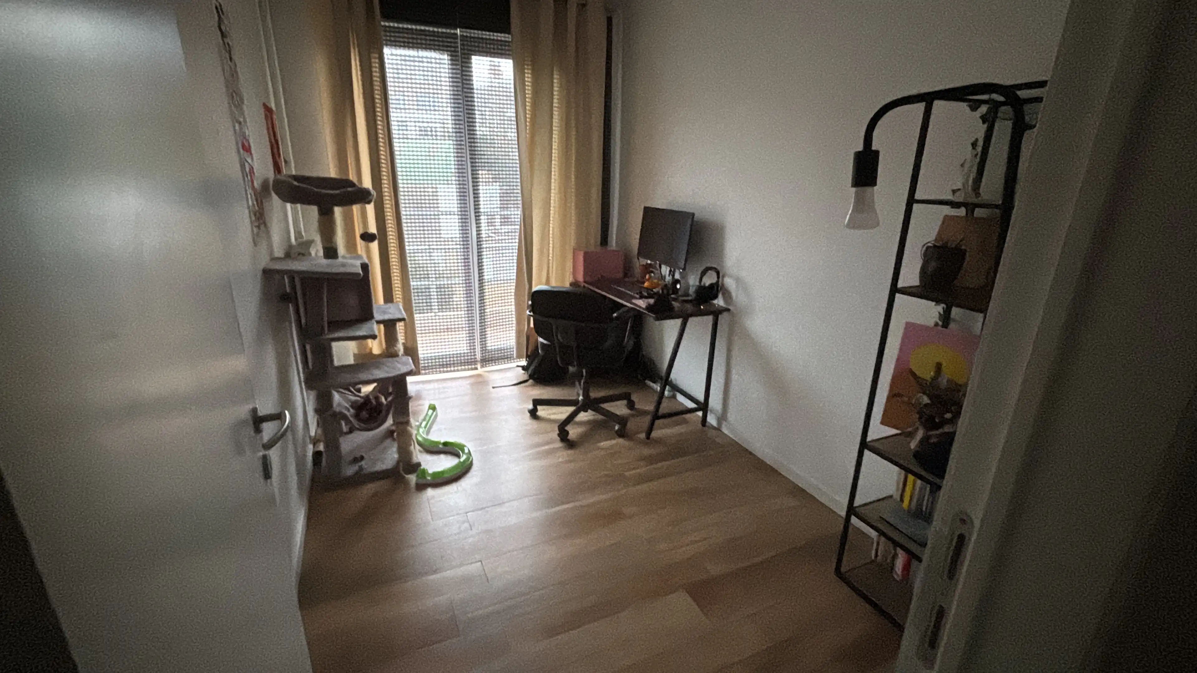 image-19