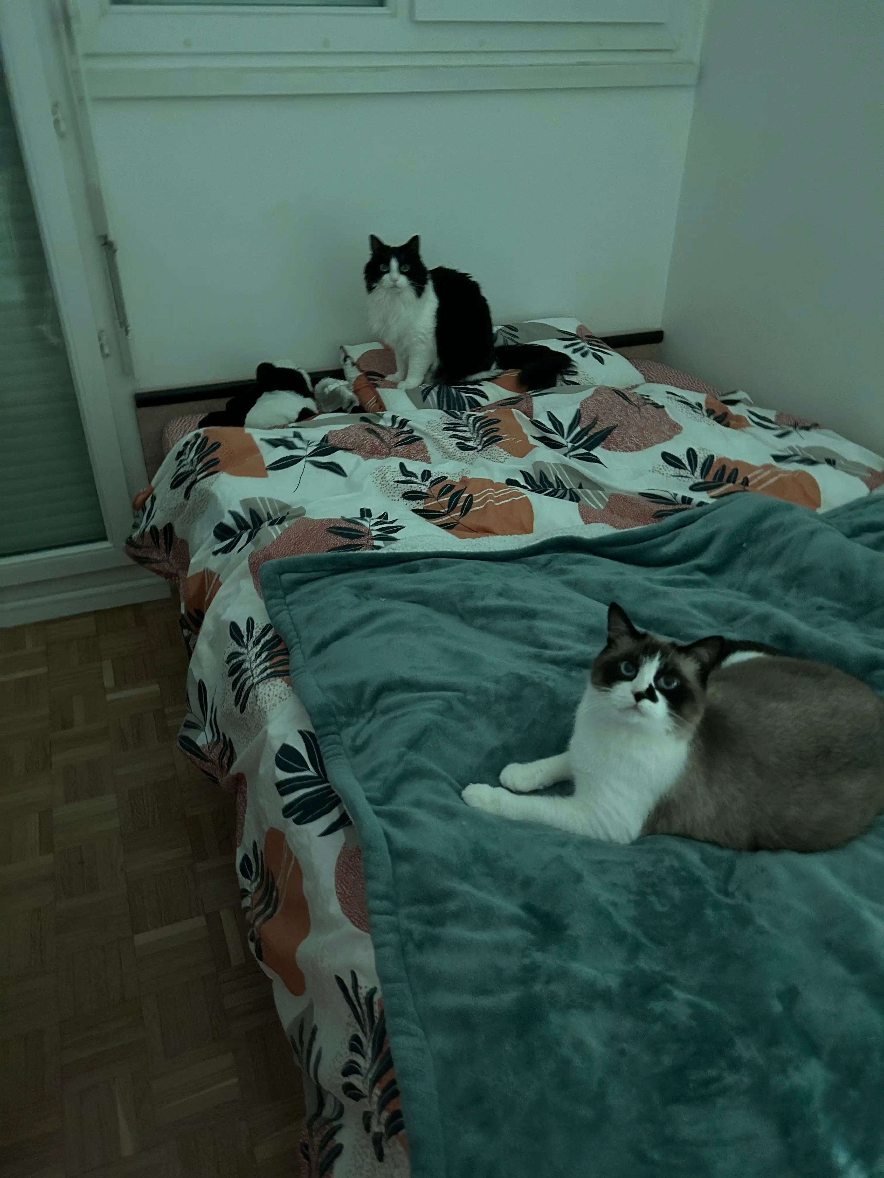 image-11