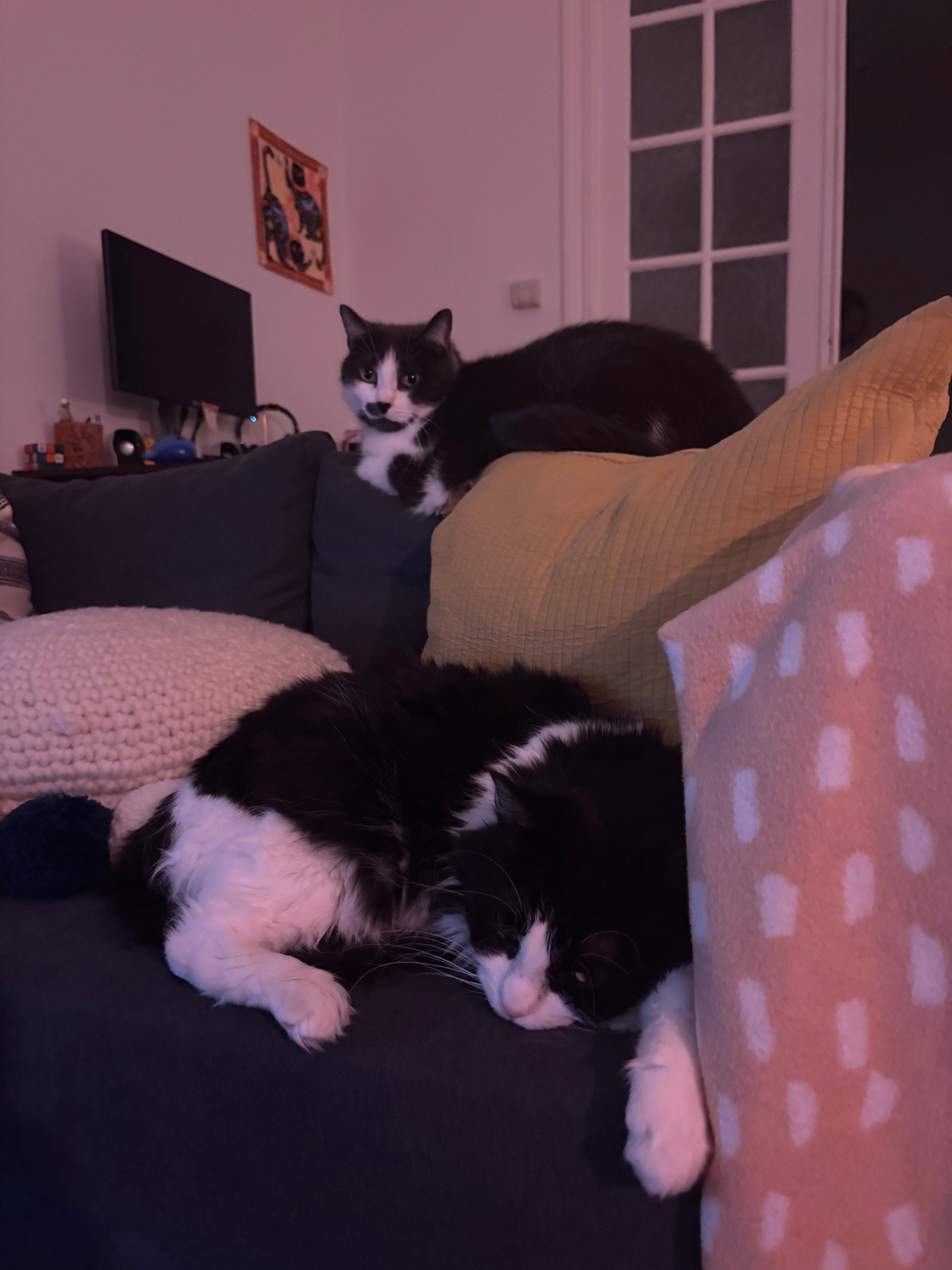 image-9