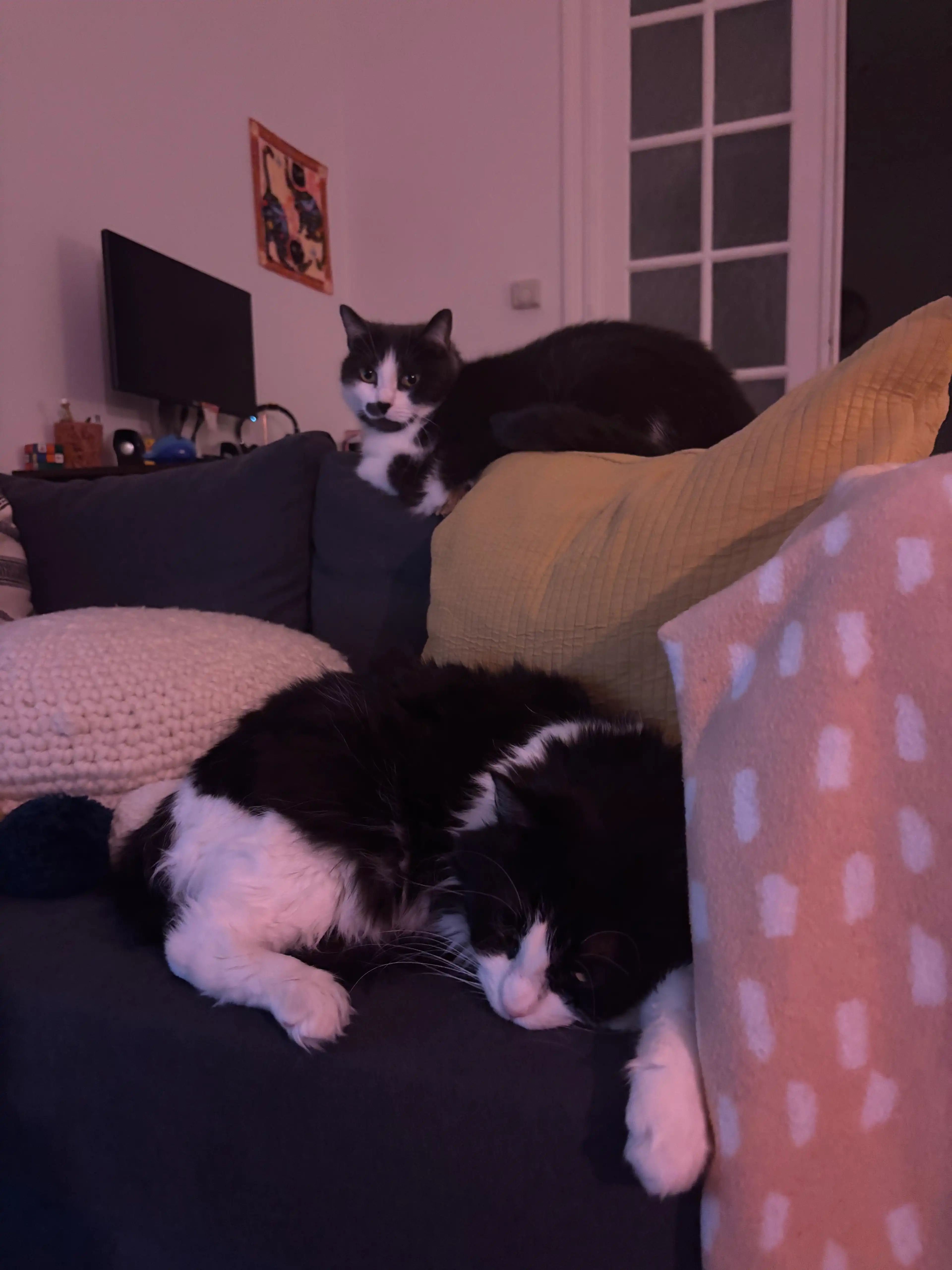 image-9