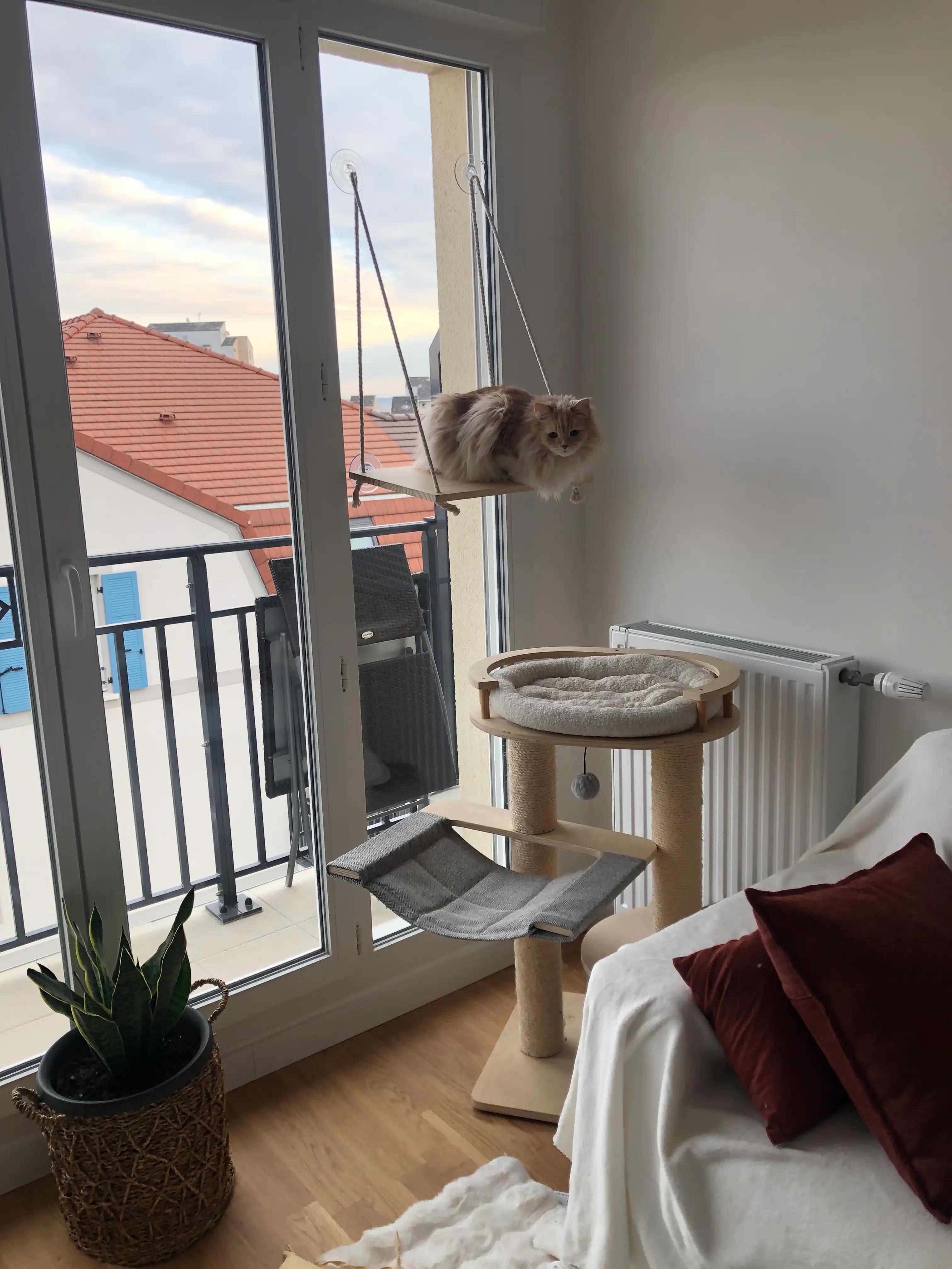 image-13